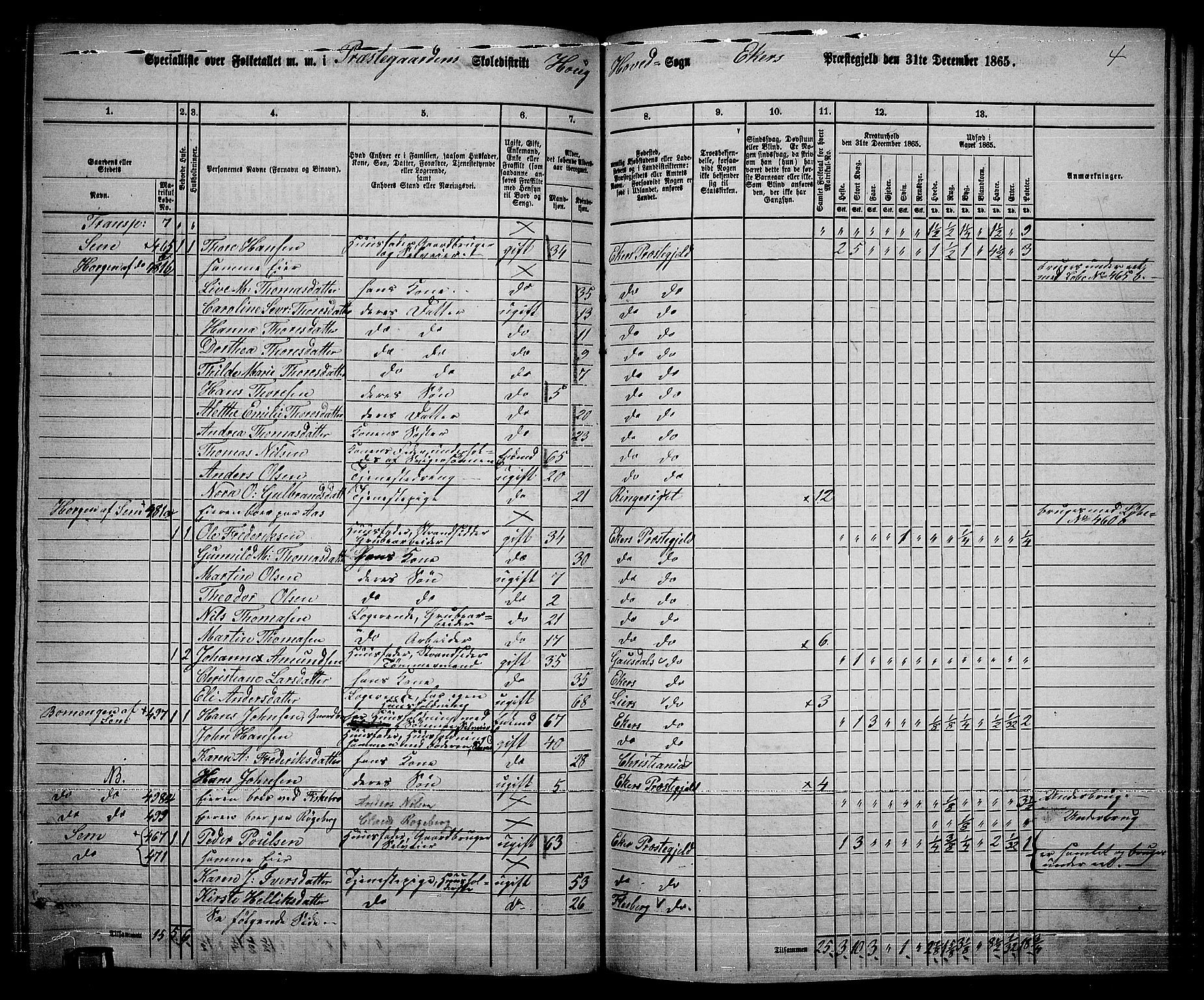 RA, 1865 census for Eiker, 1865, p. 189