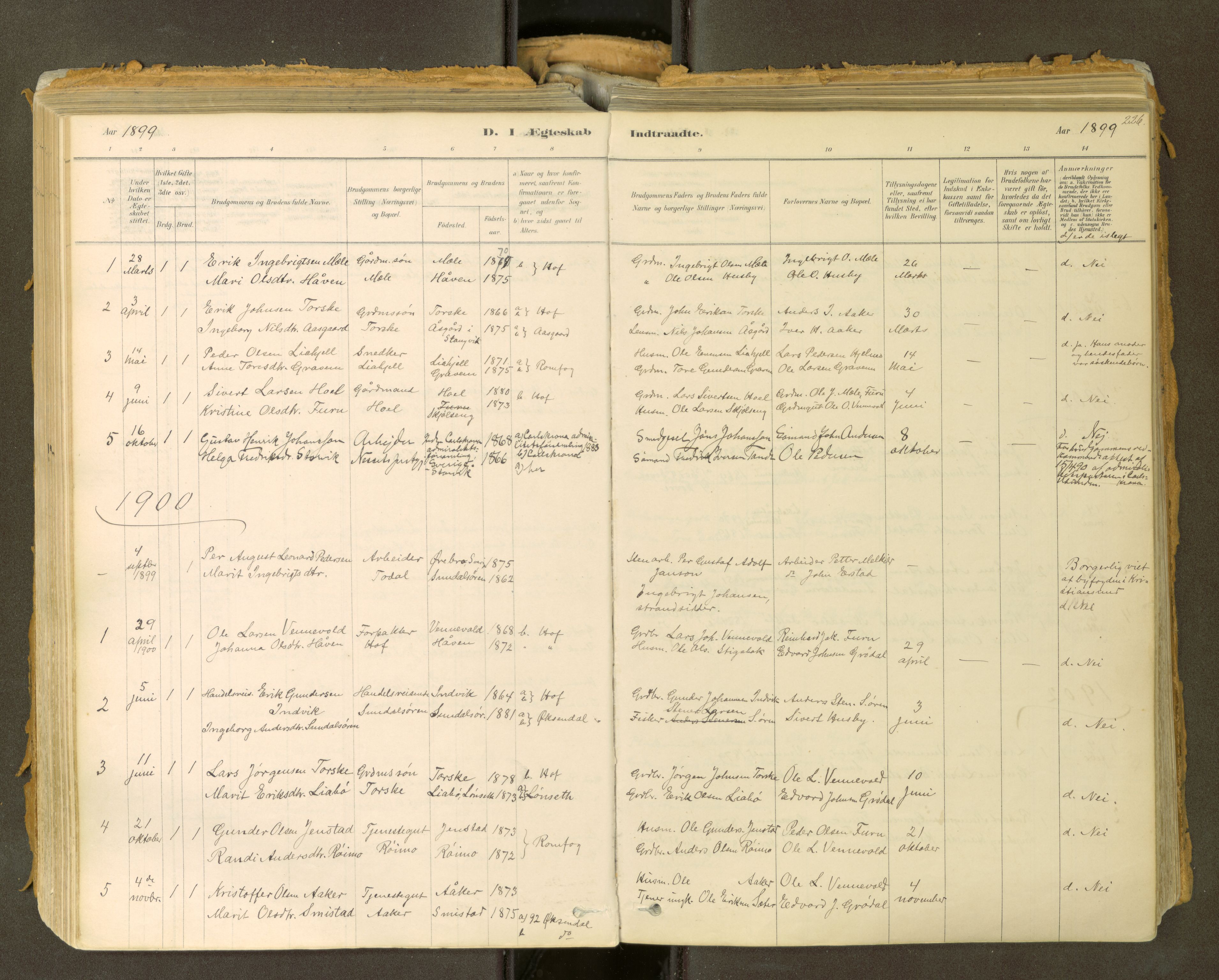 Sunndal sokneprestkontor, SAT/A-1085/1/I/I1/I1a: Parish register (official) no. 2, 1877-1914, p. 226
