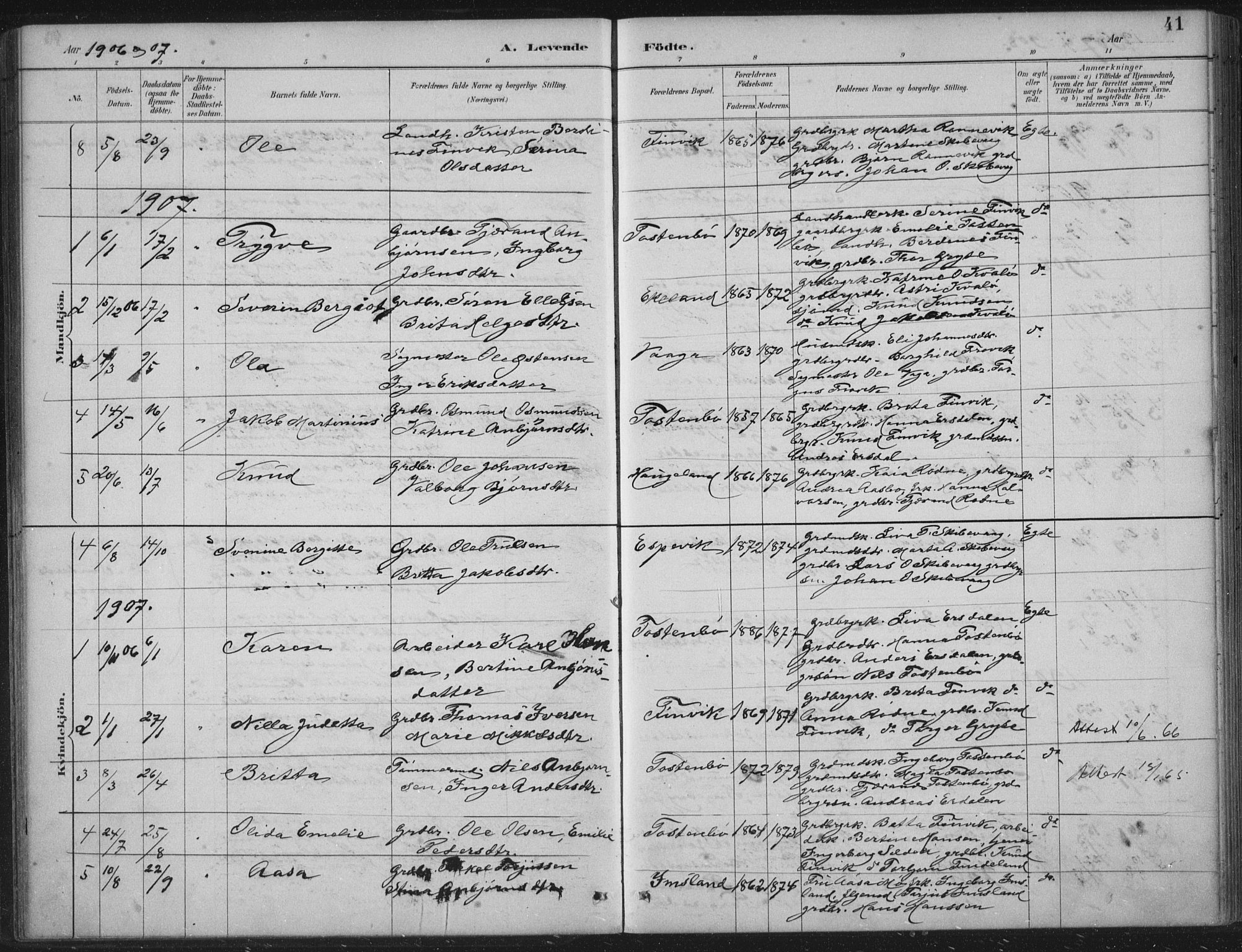 Vikedal sokneprestkontor, AV/SAST-A-101840/01/IV: Parish register (official) no. A 12, 1886-1929, p. 41