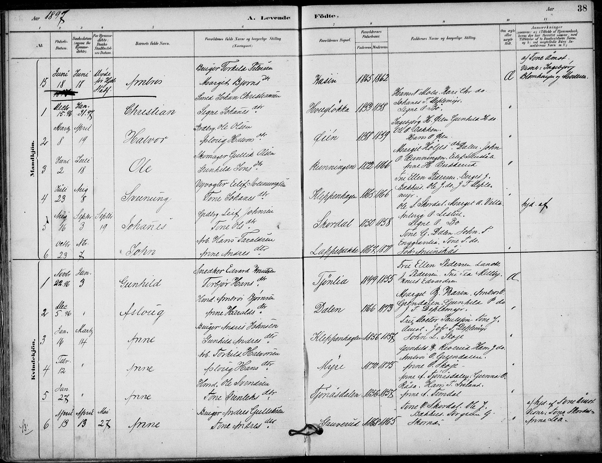 Hjartdal kirkebøker, SAKO/A-270/F/Fb/L0002: Parish register (official) no. II 2, 1880-1932, p. 38