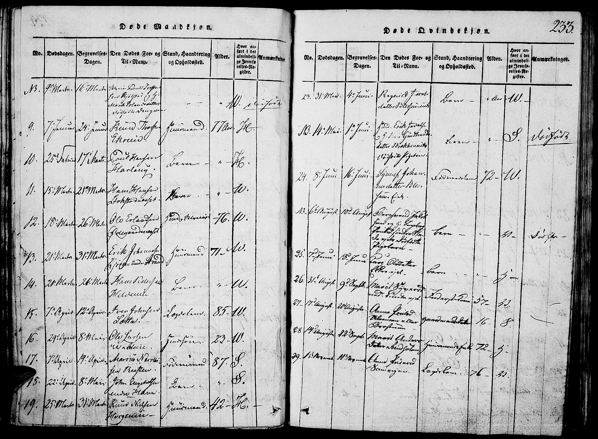Vågå prestekontor, SAH/PREST-076/H/Ha/Hab/L0001: Parish register (copy) no. 1, 1815-1827, p. 232-233