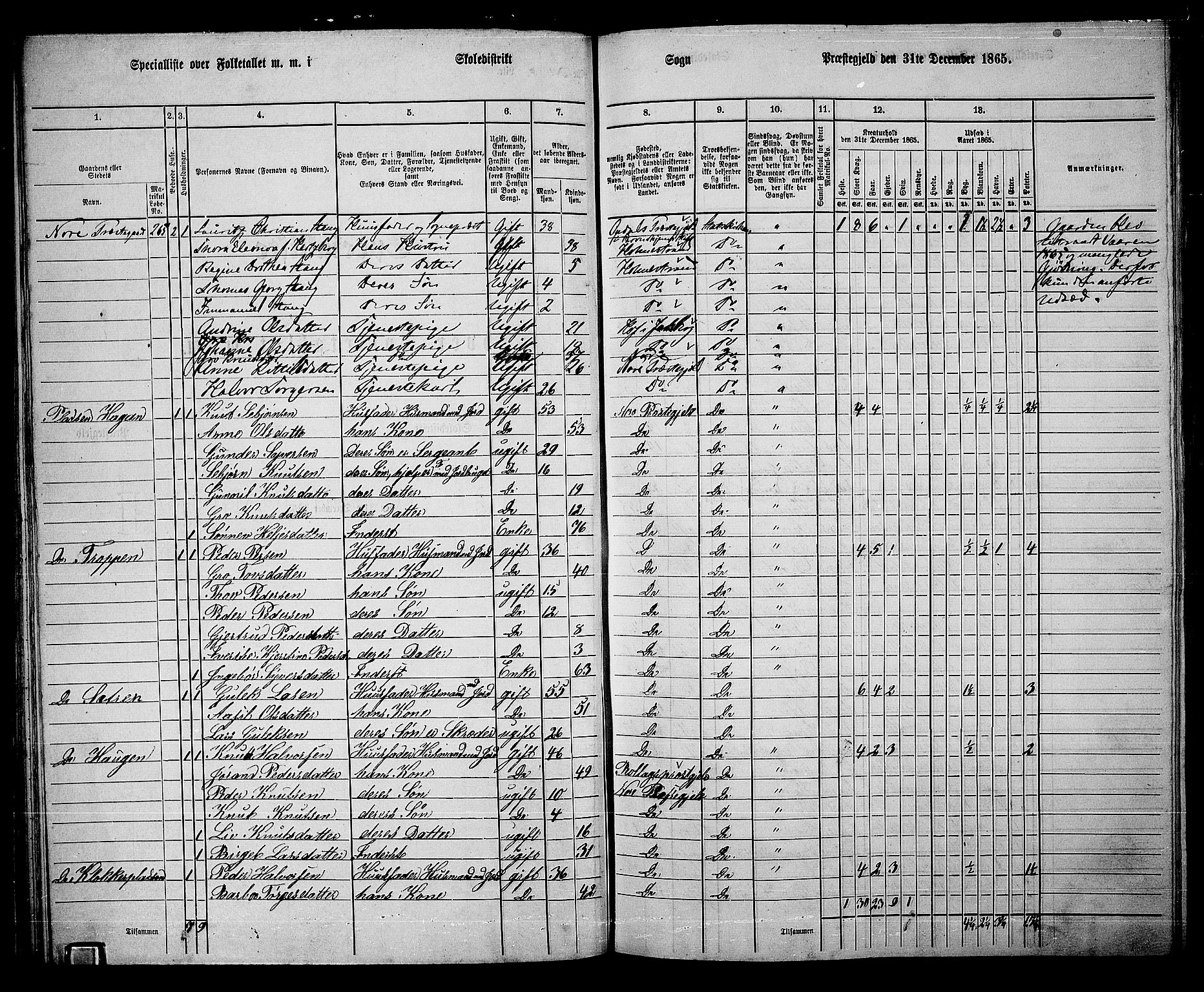 RA, 1865 census for Nore, 1865, p. 30