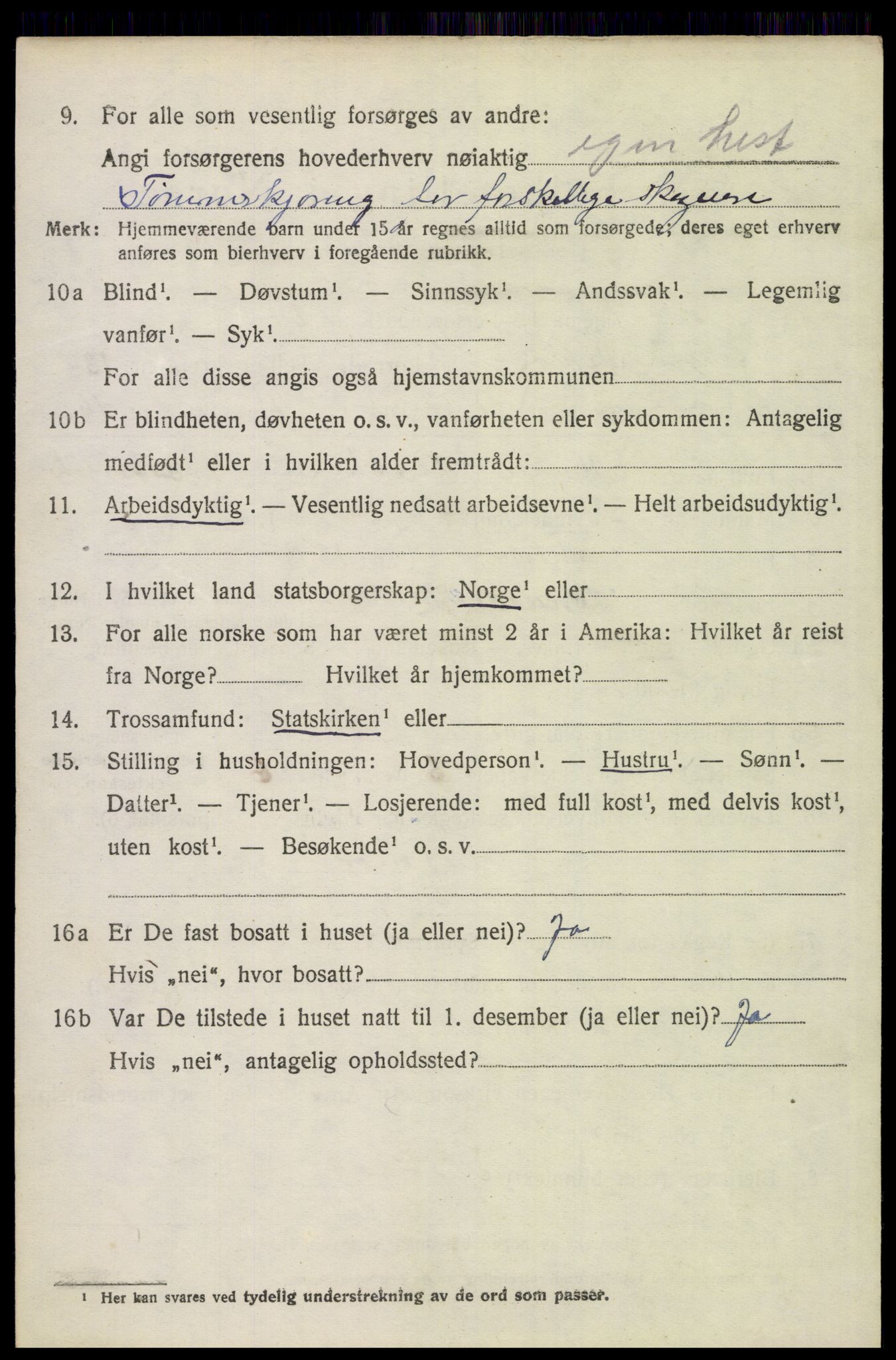 SAH, 1920 census for Brandval, 1920, p. 9141