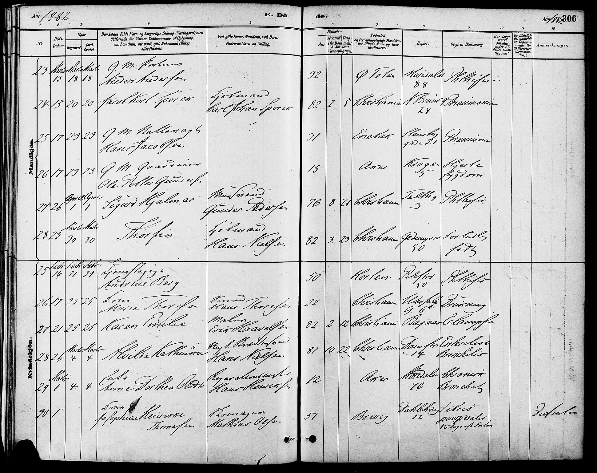 Gamle Aker prestekontor Kirkebøker, AV/SAO-A-10617a/F/L0006: Parish register (official) no. 6, 1880-1887, p. 306