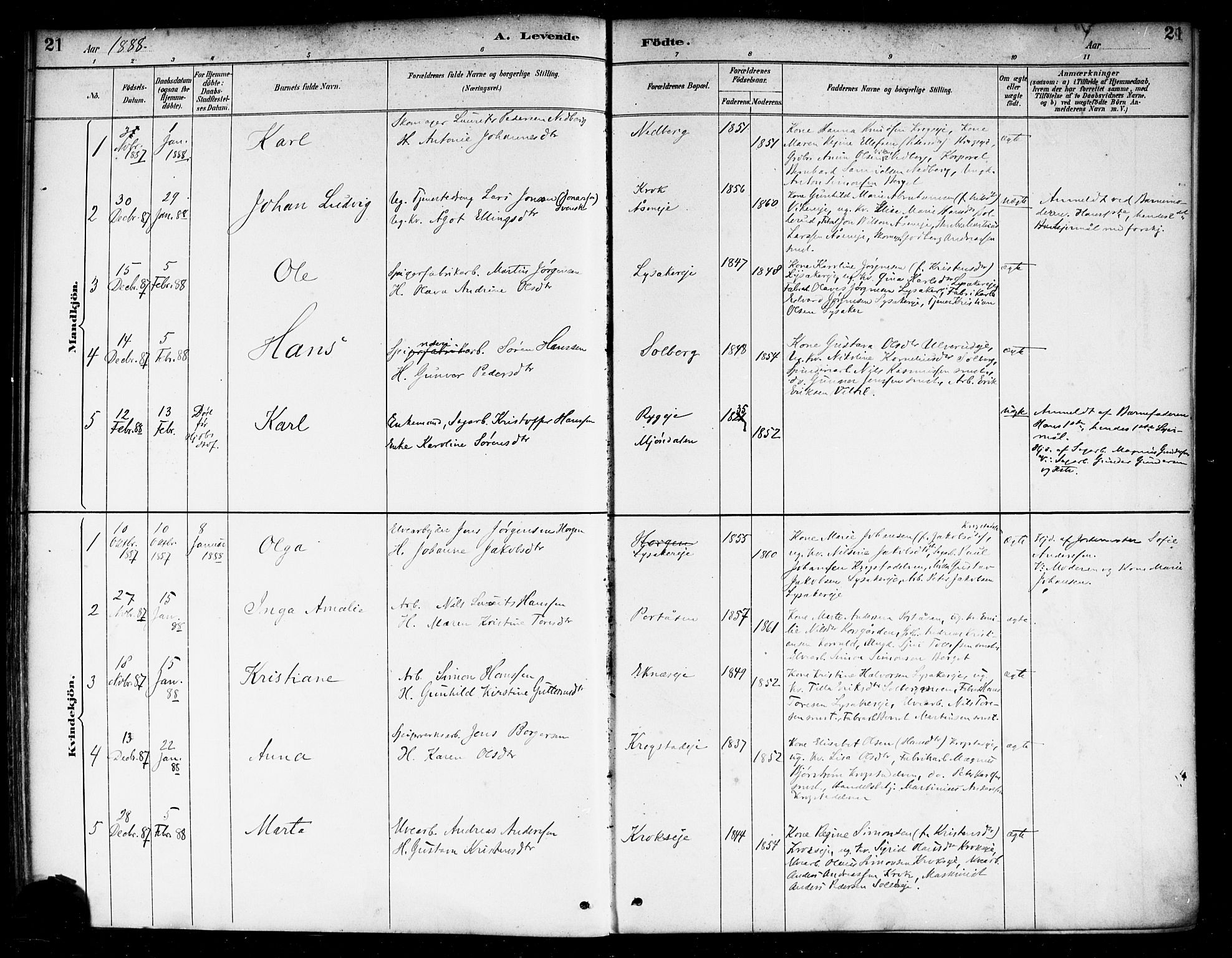 Nedre Eiker kirkebøker, SAKO/A-612/F/Fa/L0003: Parish register (official) no. 3, 1885-1892, p. 21