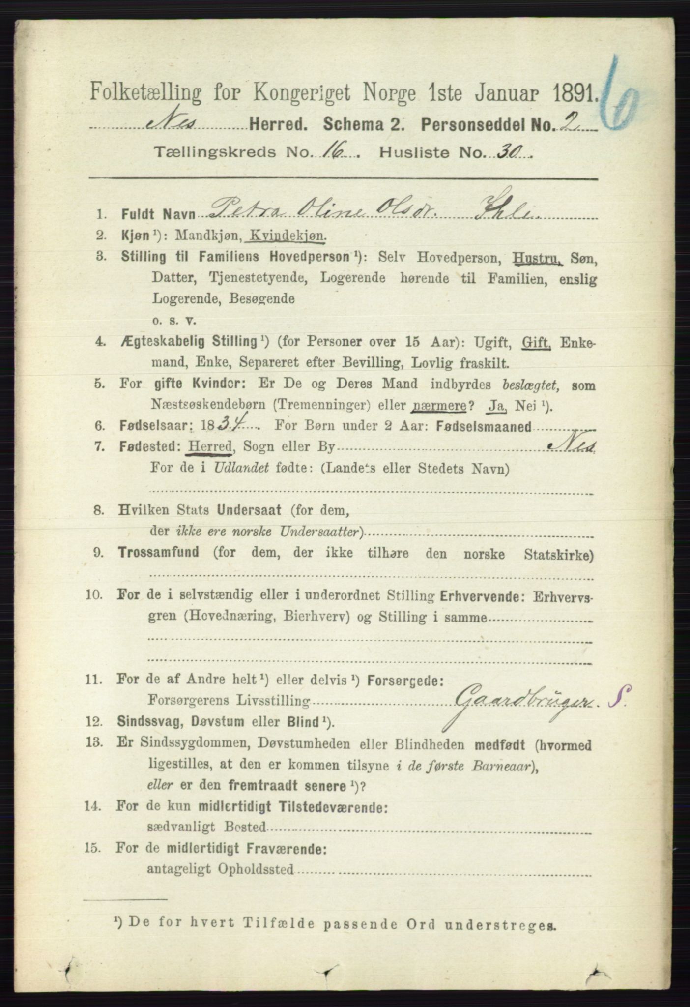 RA, 1891 census for 0236 Nes, 1891, p. 9735