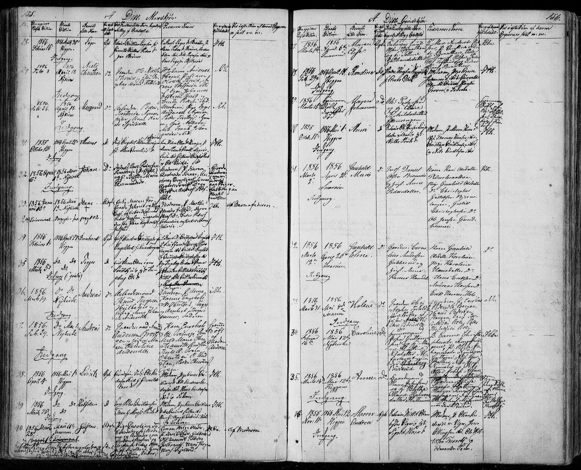 Modum kirkebøker, AV/SAKO-A-234/F/Fa/L0008: Parish register (official) no. 8, 1851-1859, p. 155-156