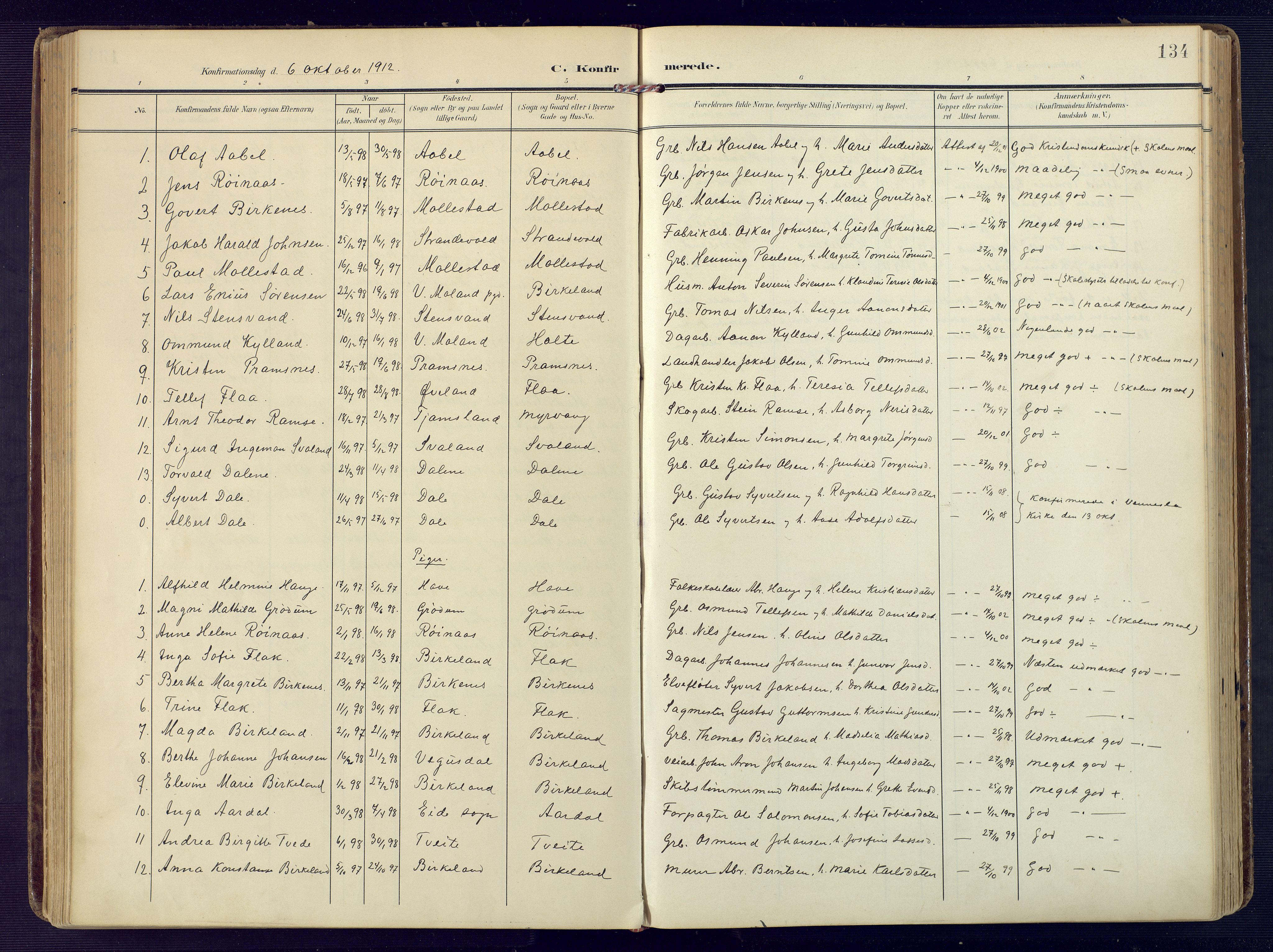 Birkenes sokneprestkontor, SAK/1111-0004/F/Fa/L0006: Parish register (official) no. A 6, 1908-1932, p. 134