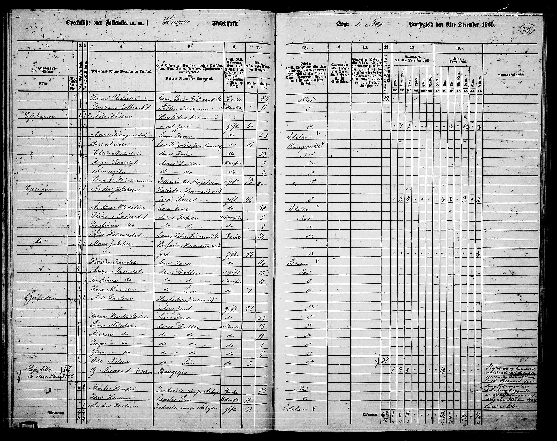 RA, 1865 census for Nes, 1865, p. 229