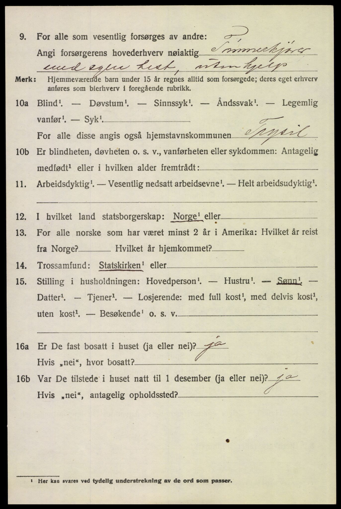 SAH, 1920 census for Trysil, 1920, p. 8794