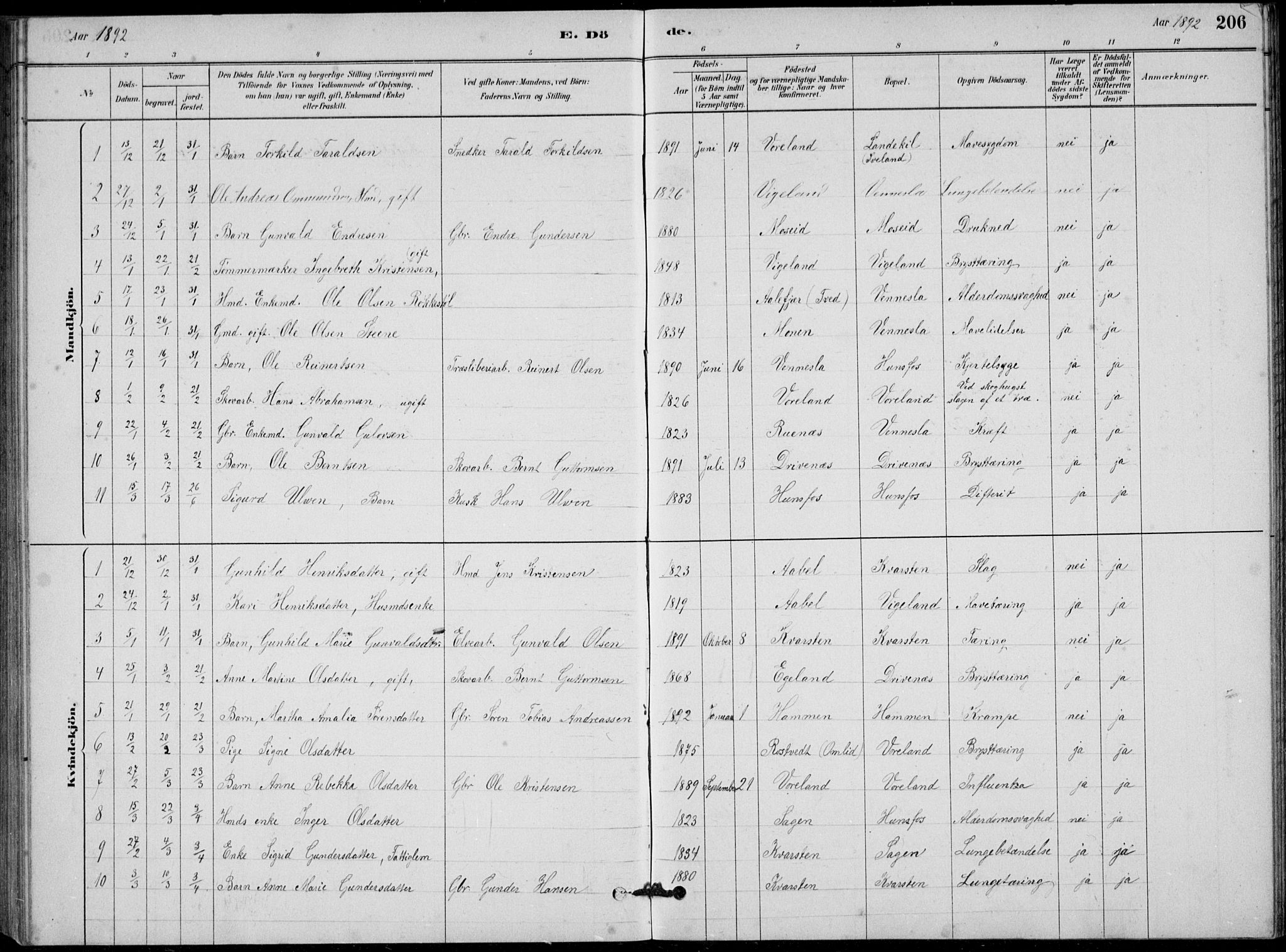 Vennesla sokneprestkontor, SAK/1111-0045/Fb/Fbb/L0003: Parish register (copy) no. B 3, 1879-1893, p. 206