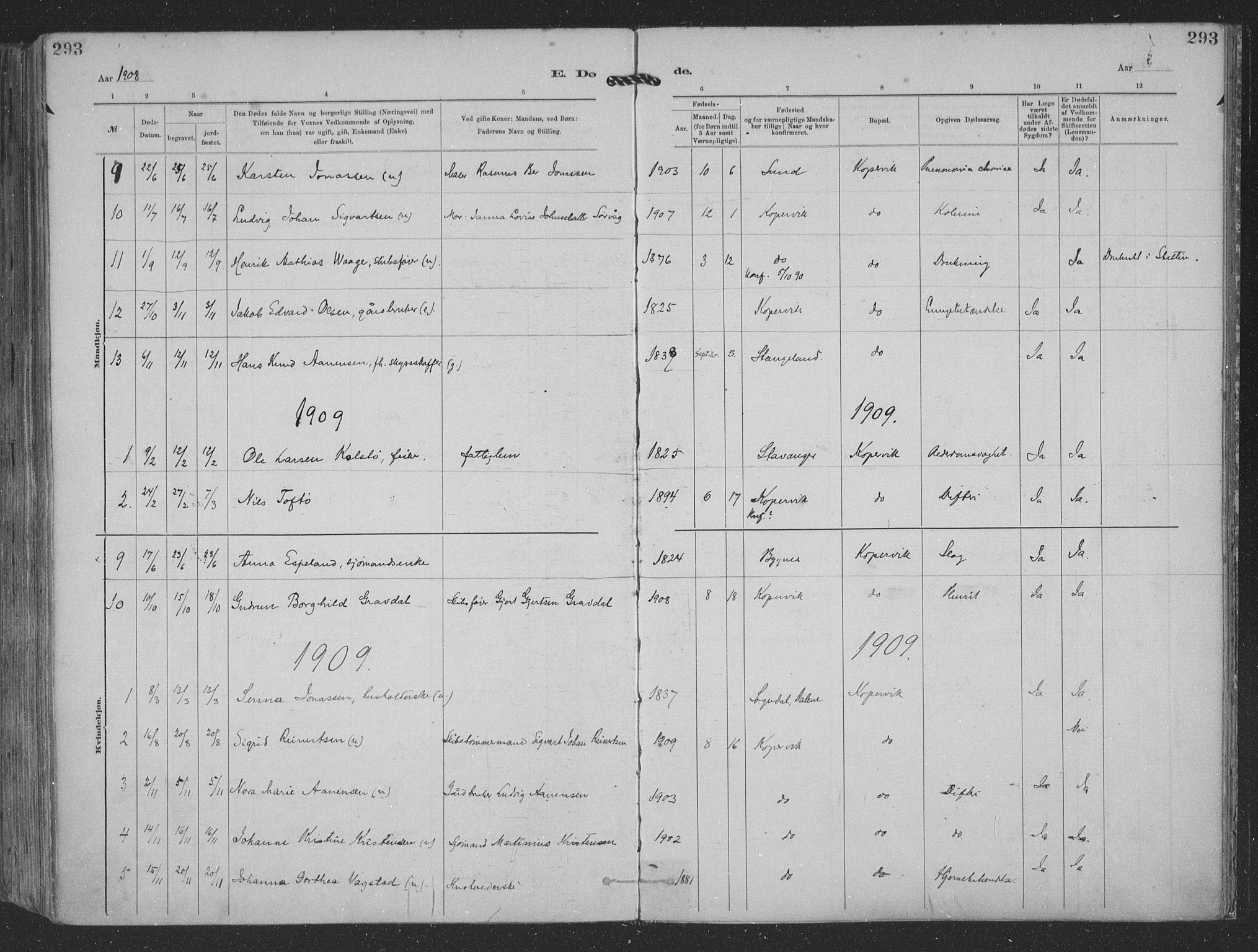 Kopervik sokneprestkontor, SAST/A-101850/H/Ha/Haa/L0001: Parish register (official) no. A 1, 1880-1919, p. 293
