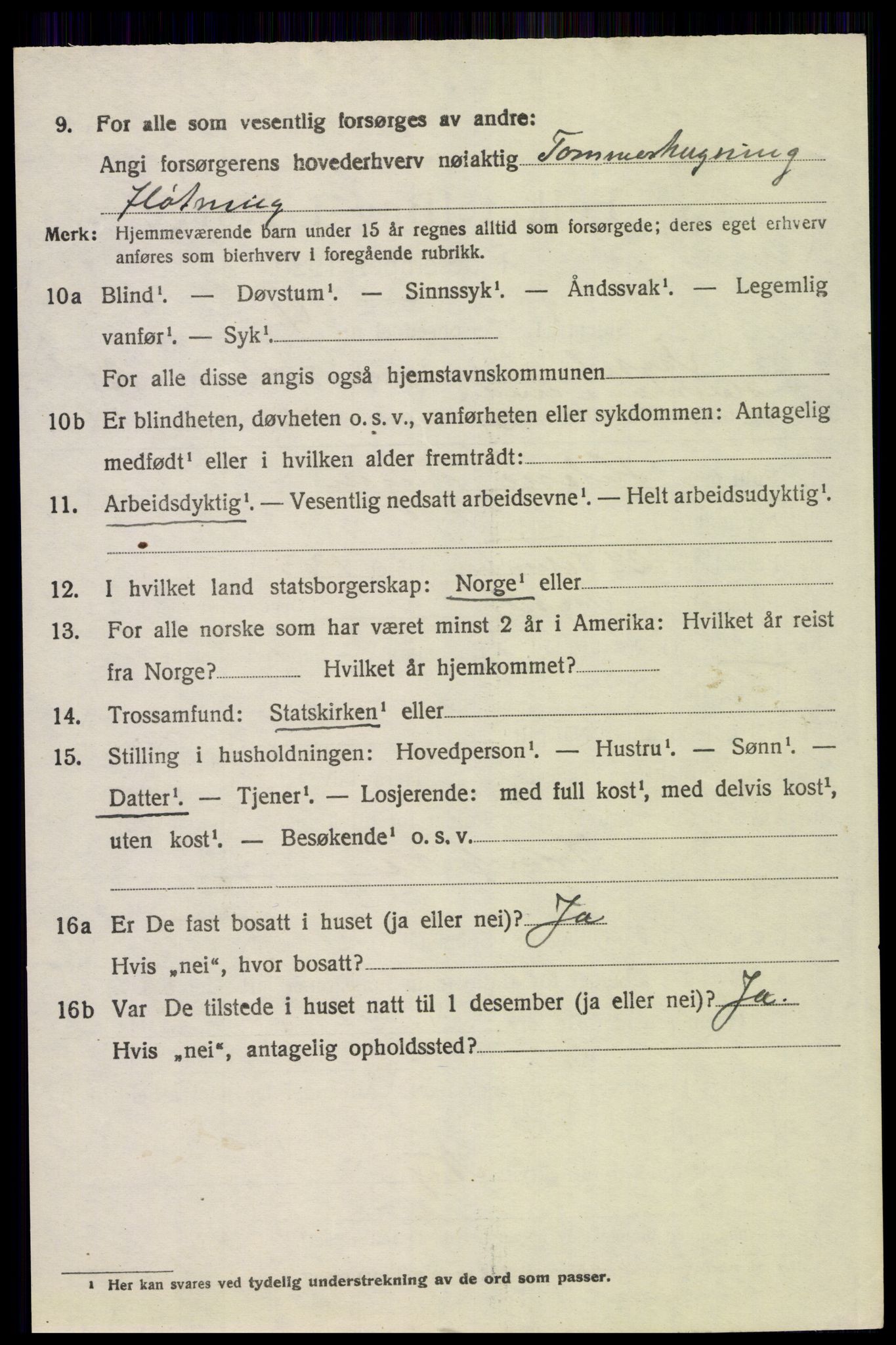 SAH, 1920 census for Trysil, 1920, p. 15510