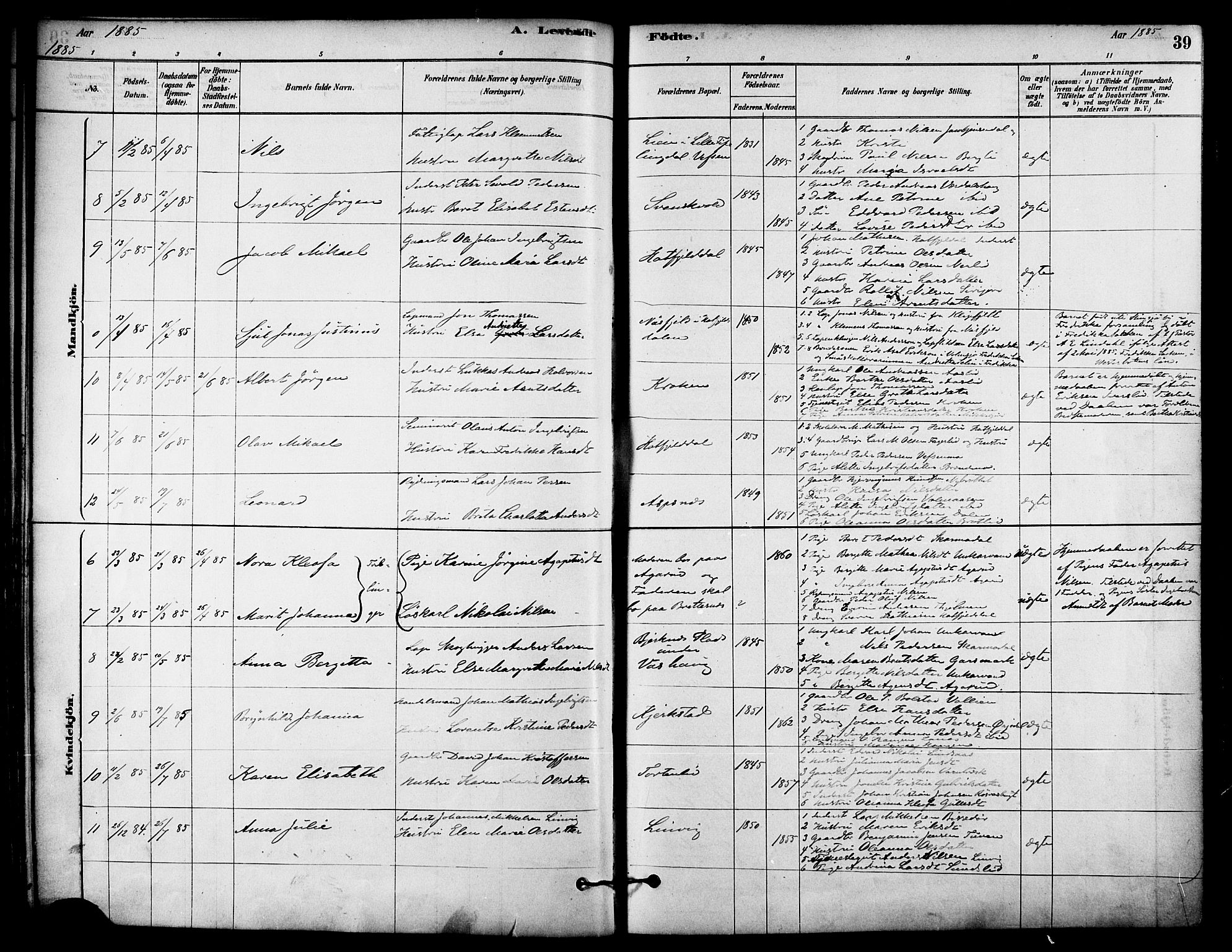 Ministerialprotokoller, klokkerbøker og fødselsregistre - Nordland, AV/SAT-A-1459/823/L0325: Parish register (official) no. 823A02, 1878-1898, p. 39