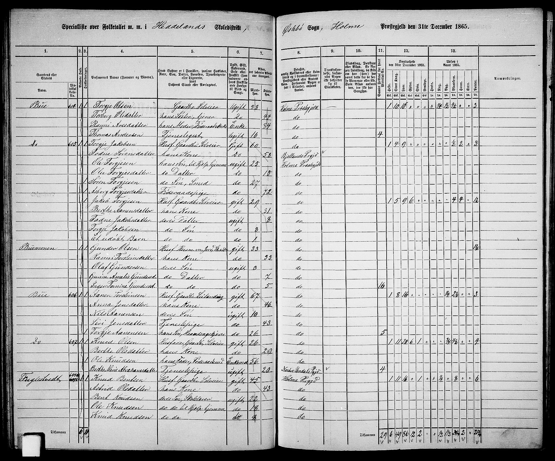 RA, 1865 census for Holum, 1865, p. 89