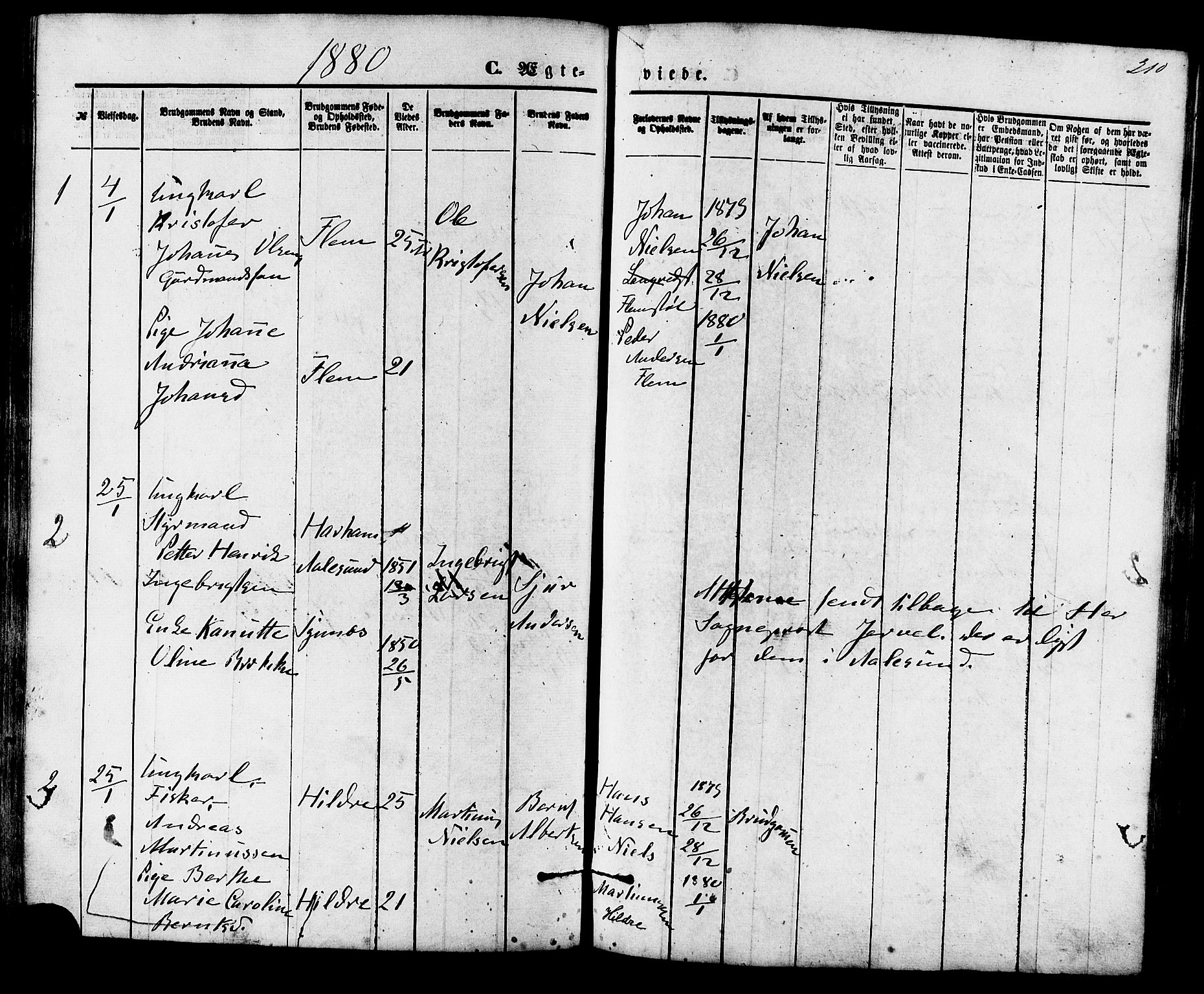 Ministerialprotokoller, klokkerbøker og fødselsregistre - Møre og Romsdal, AV/SAT-A-1454/536/L0500: Parish register (official) no. 536A09, 1876-1889, p. 210