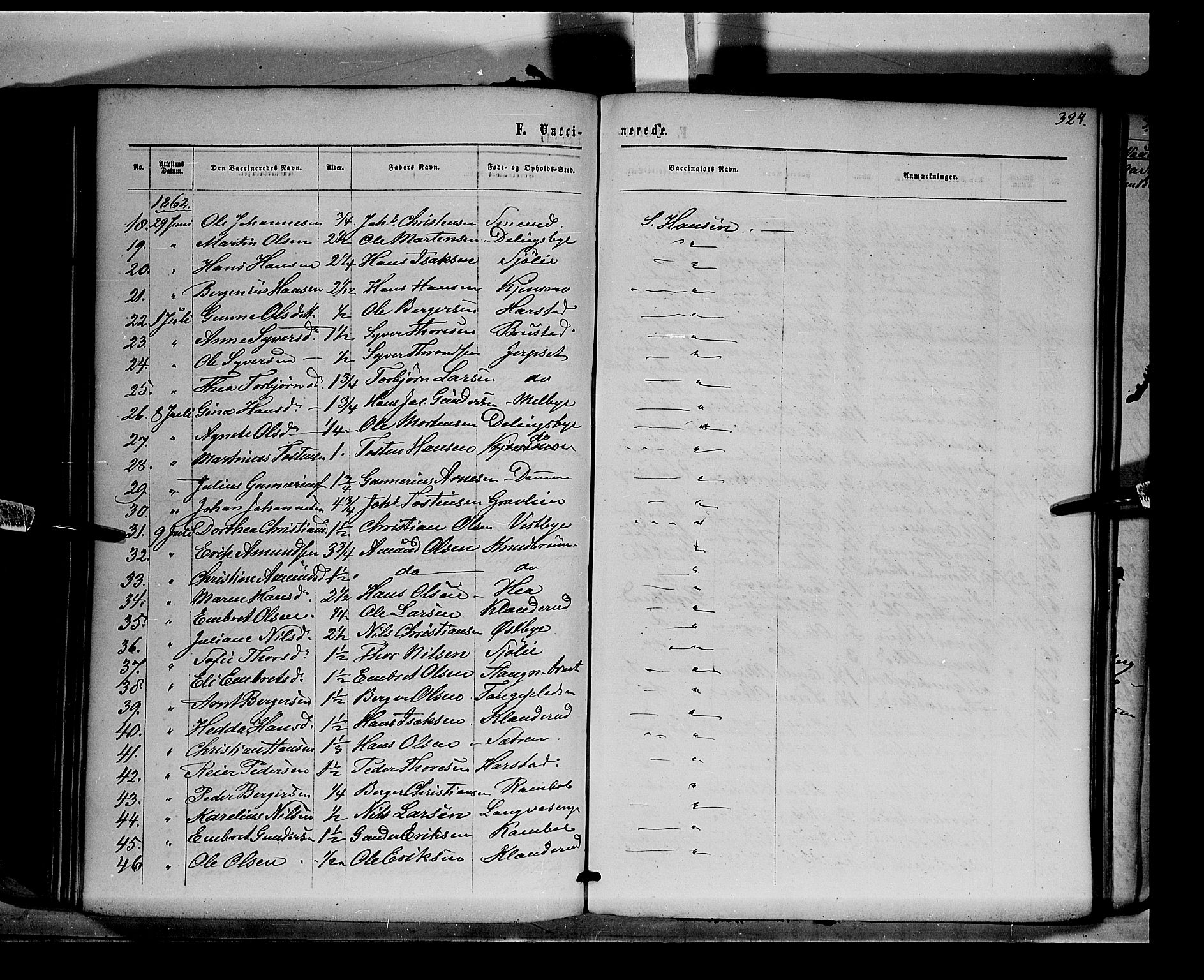 Eidskog prestekontor, AV/SAH-PREST-026/H/Ha/Haa/L0001: Parish register (official) no. 1, 1860-1867, p. 324