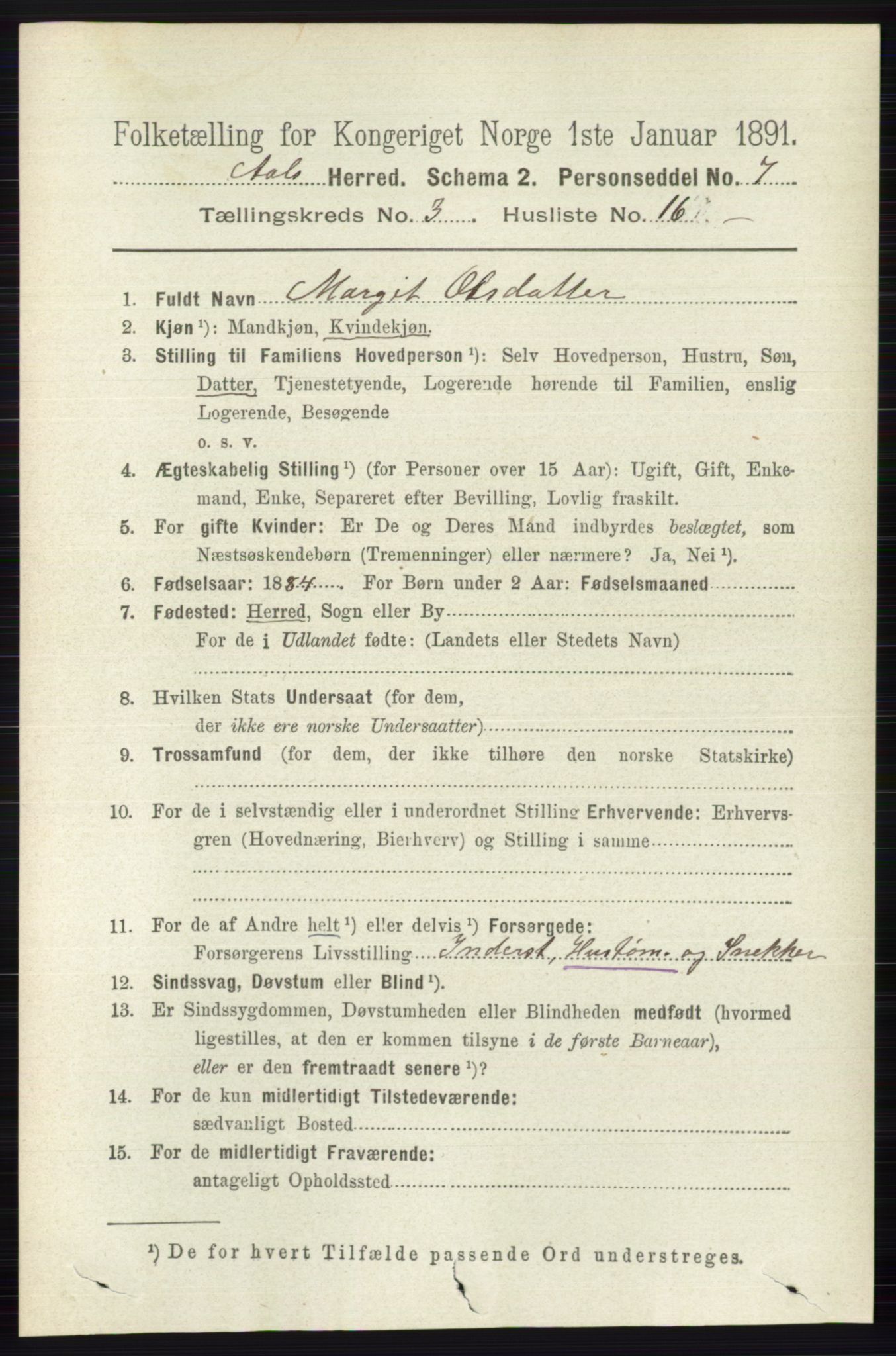 RA, 1891 census for 0619 Ål, 1891, p. 750