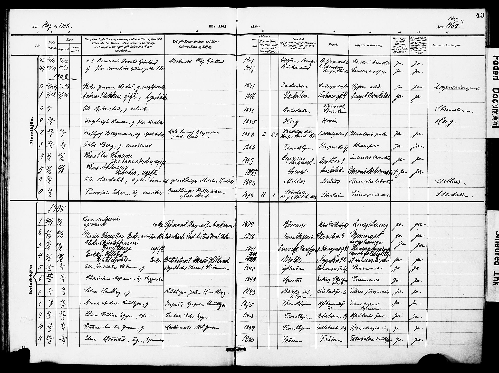 Ministerialprotokoller, klokkerbøker og fødselsregistre - Sør-Trøndelag, SAT/A-1456/628/L0483: Parish register (official) no. 628A01, 1902-1920, p. 43