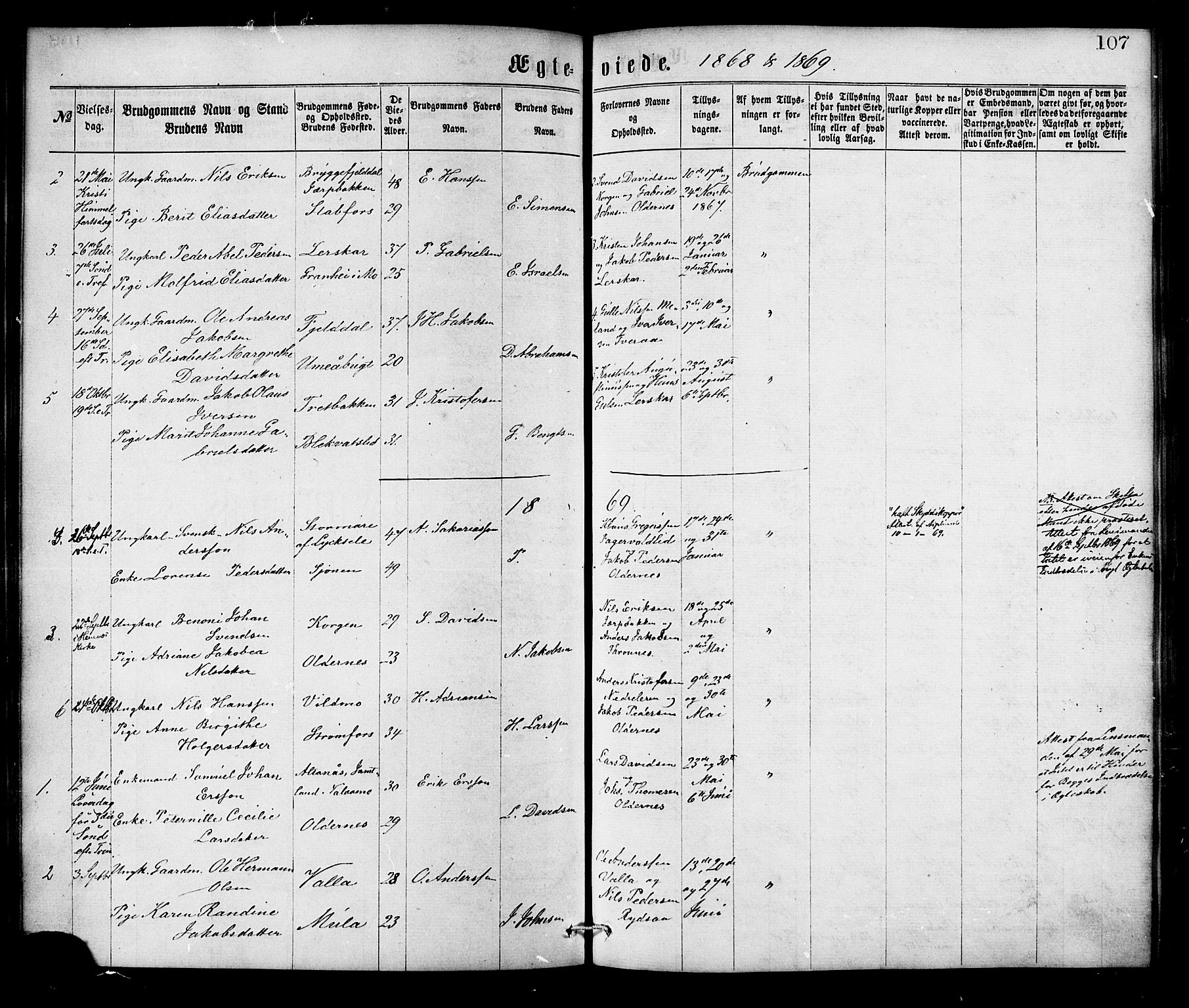 Ministerialprotokoller, klokkerbøker og fødselsregistre - Nordland, AV/SAT-A-1459/826/L0378: Parish register (official) no. 826A01, 1865-1878, p. 107