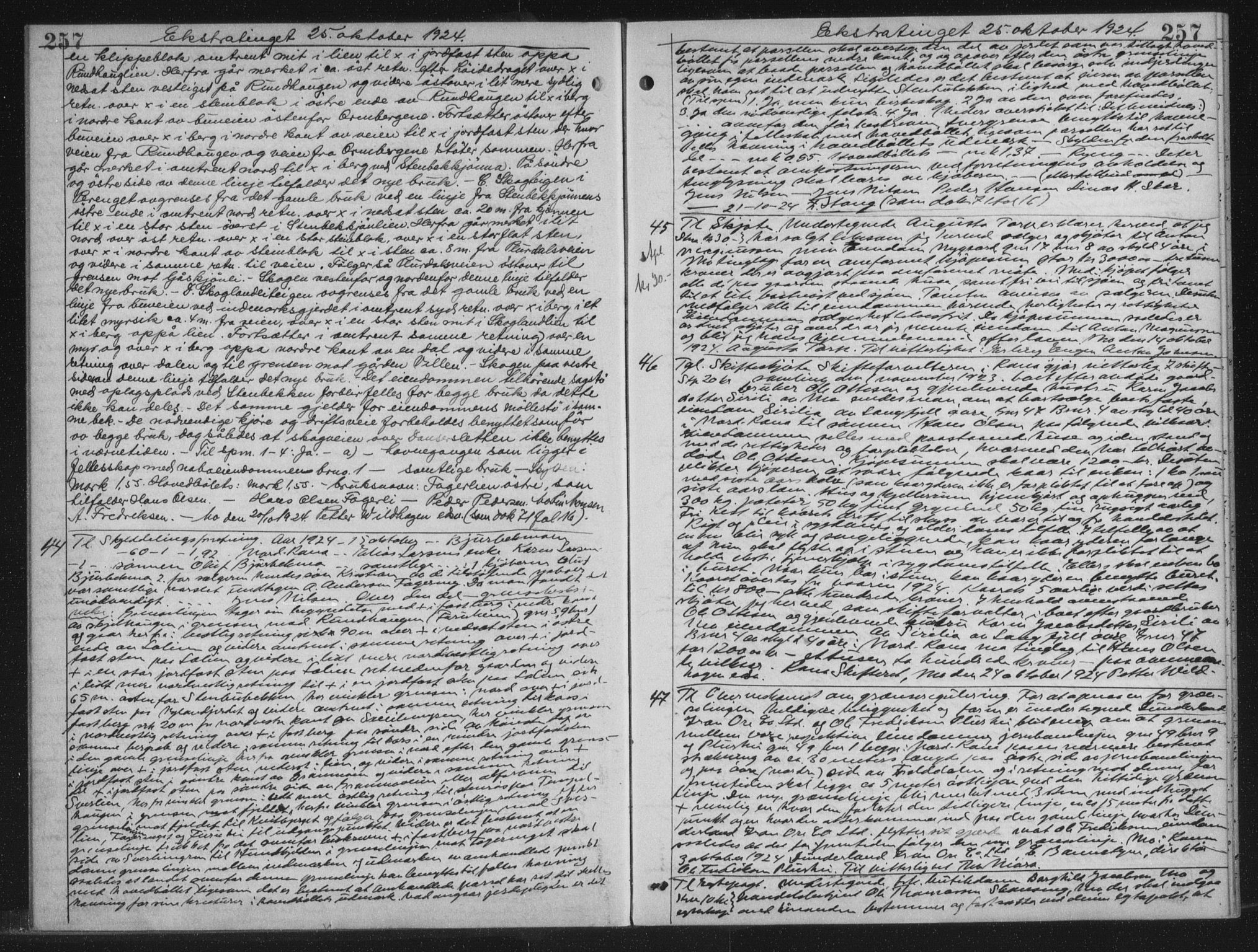Rana sorenskriveri , AV/SAT-A-1108/1/2/2C/L0018: Mortgage book no. 18, 1923-1928, p. 257, Deed date: 25.10.1924