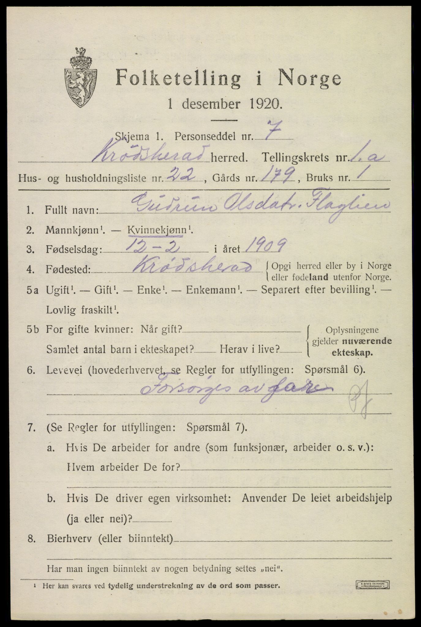 SAKO, 1920 census for Krødsherad, 1920, p. 1163