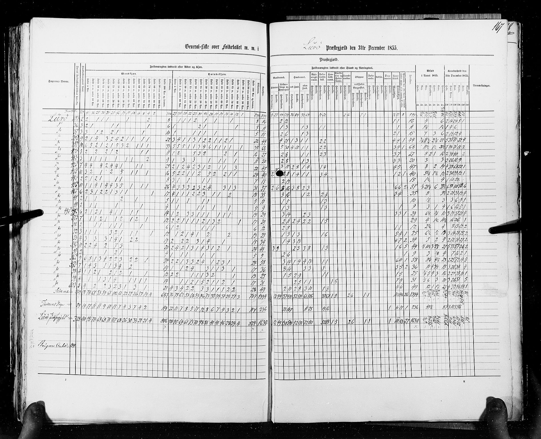 RA, Census 1855, vol. 6A: Nordre Trondhjem amt og Nordland amt, 1855, p. 167