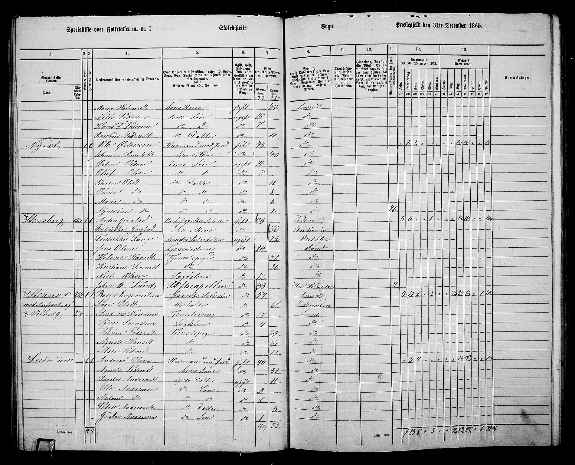 RA, 1865 census for Land, 1865, p. 272