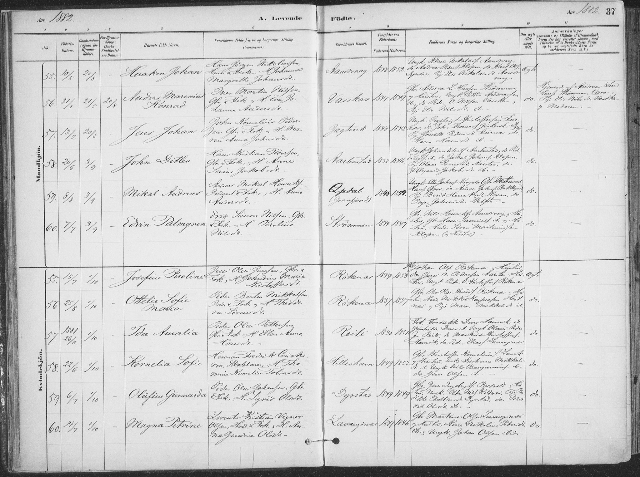 Ibestad sokneprestembete, AV/SATØ-S-0077/H/Ha/Haa/L0011kirke: Parish register (official) no. 11, 1880-1889, p. 37