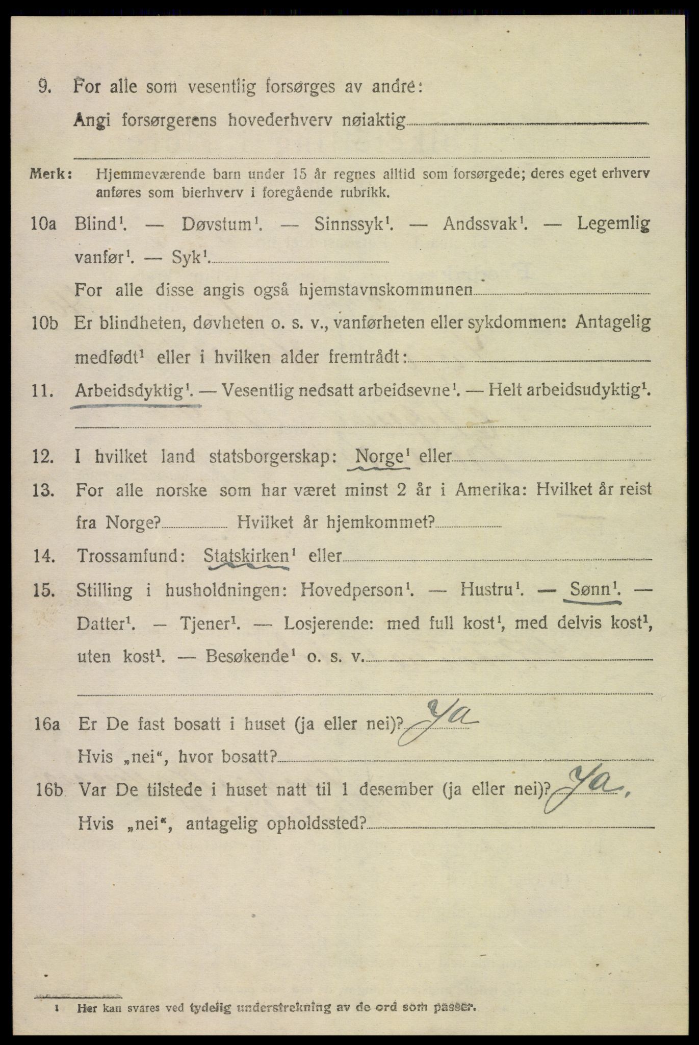 SAKO, 1920 census for Fredriksvern, 1920, p. 950