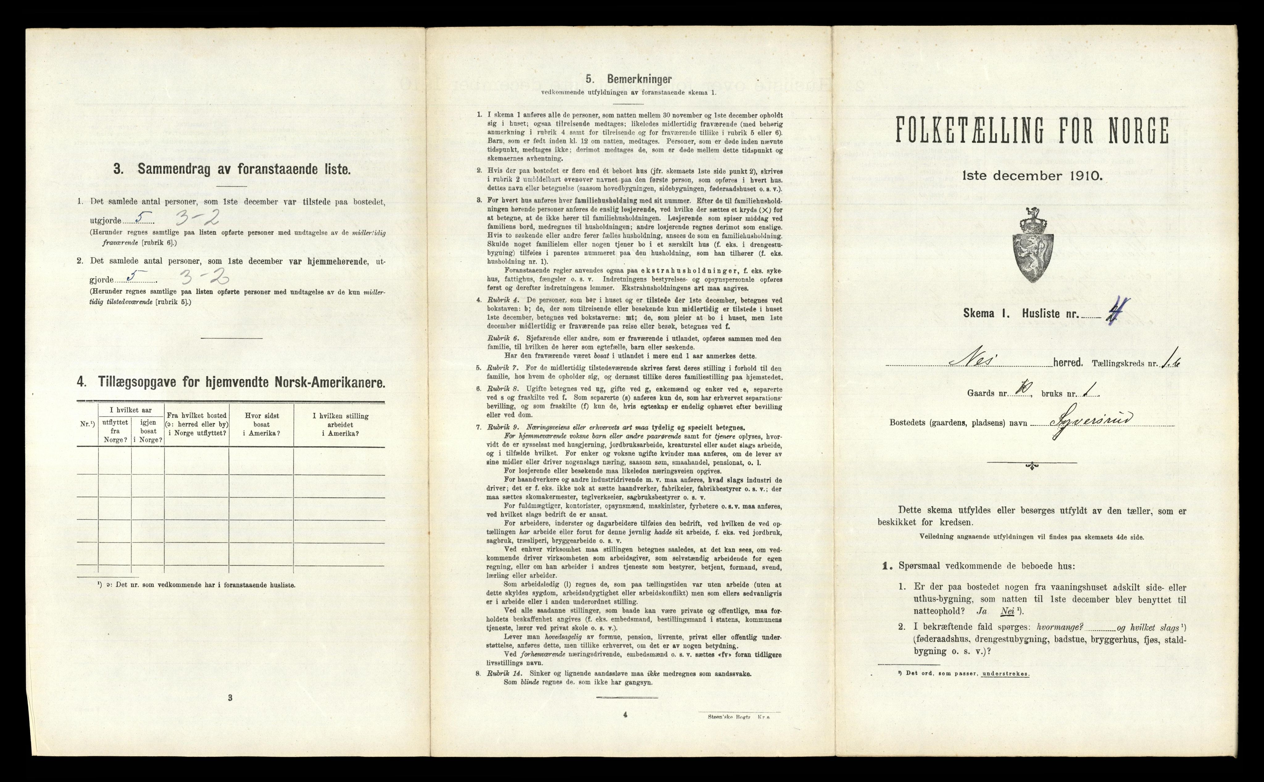 RA, 1910 census for Nes, 1910, p. 196