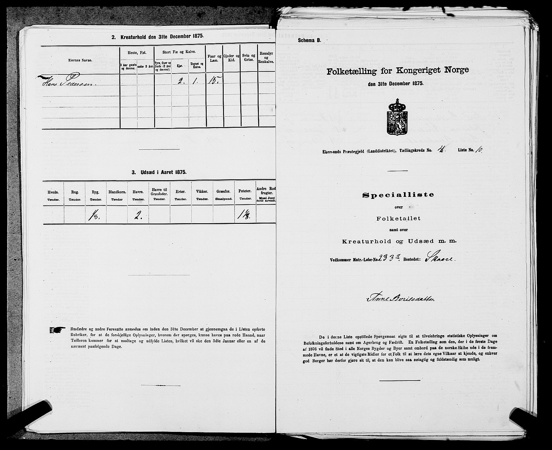 SAST, 1875 census for 1116L Eigersund/Eigersund og Ogna, 1875, p. 411