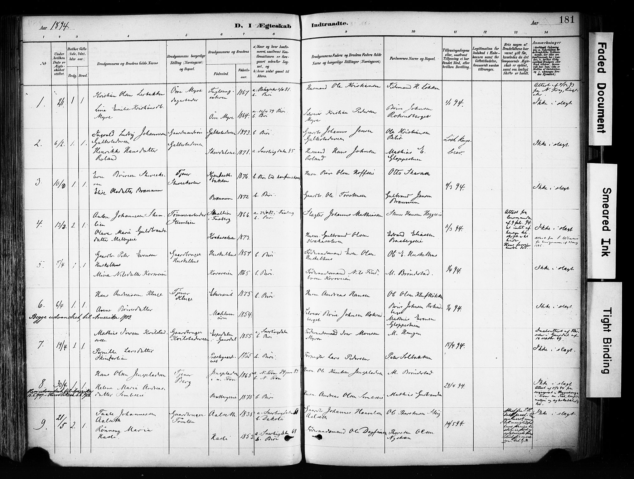Biri prestekontor, SAH/PREST-096/H/Ha/Haa/L0009: Parish register (official) no. 9, 1887-1900, p. 181