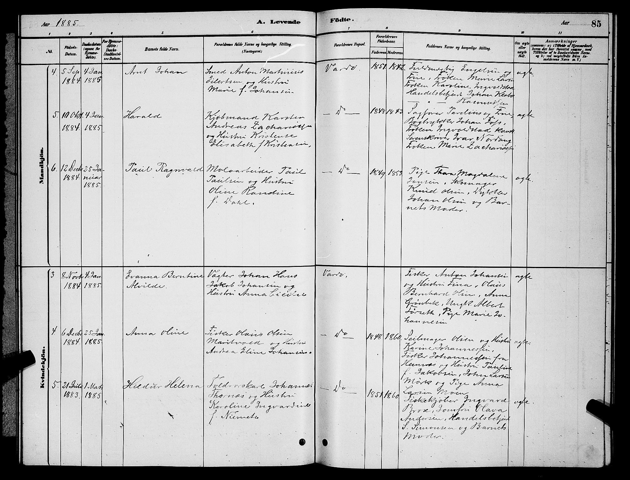 Vardø sokneprestkontor, AV/SATØ-S-1332/H/Hb/L0004klokker: Parish register (copy) no. 4, 1879-1887, p. 85