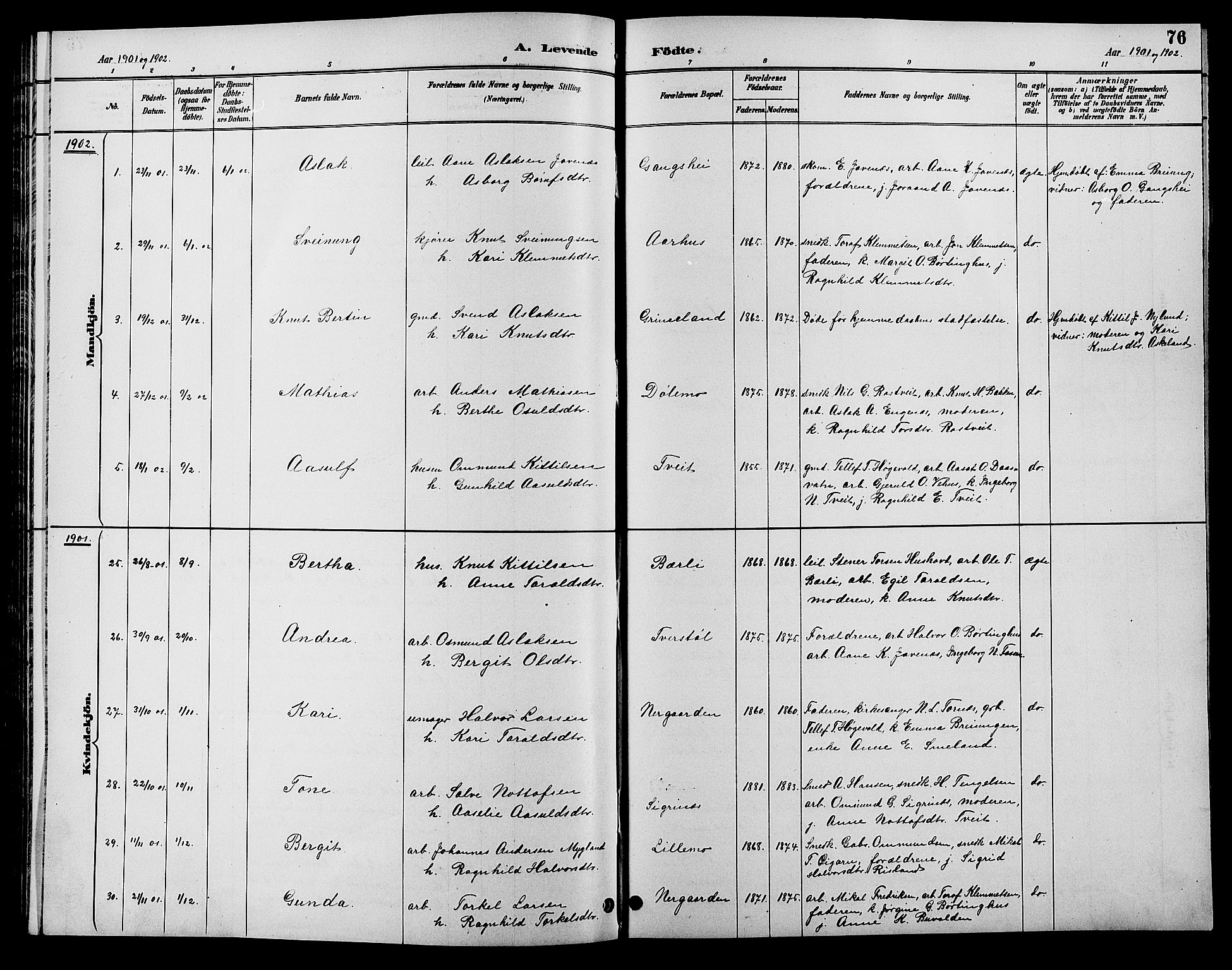 Åmli sokneprestkontor, SAK/1111-0050/F/Fb/Fbc/L0004: Parish register (copy) no. B 4, 1889-1902, p. 76