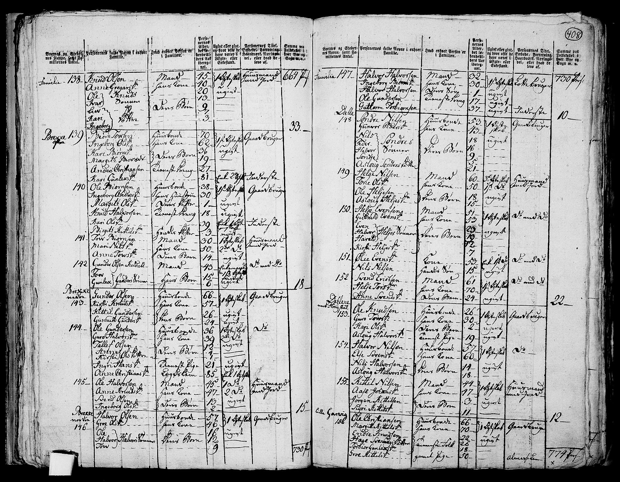 RA, 1801 census for 0828P Seljord, 1801, p. 407b-408a