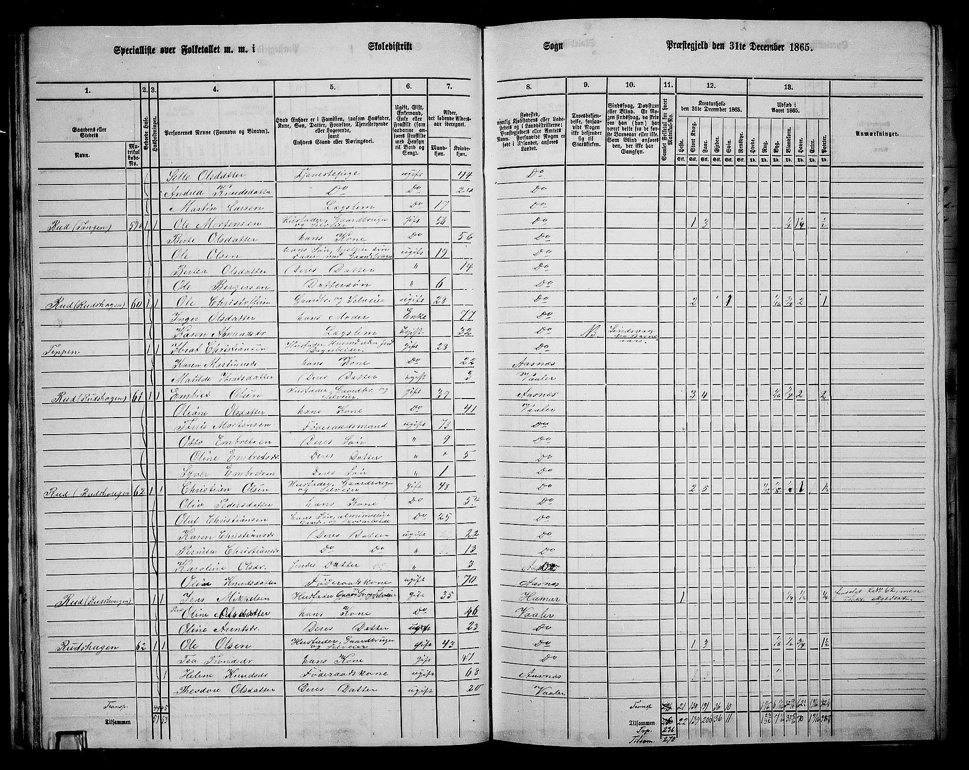 RA, 1865 census for Våler, 1865, p. 34