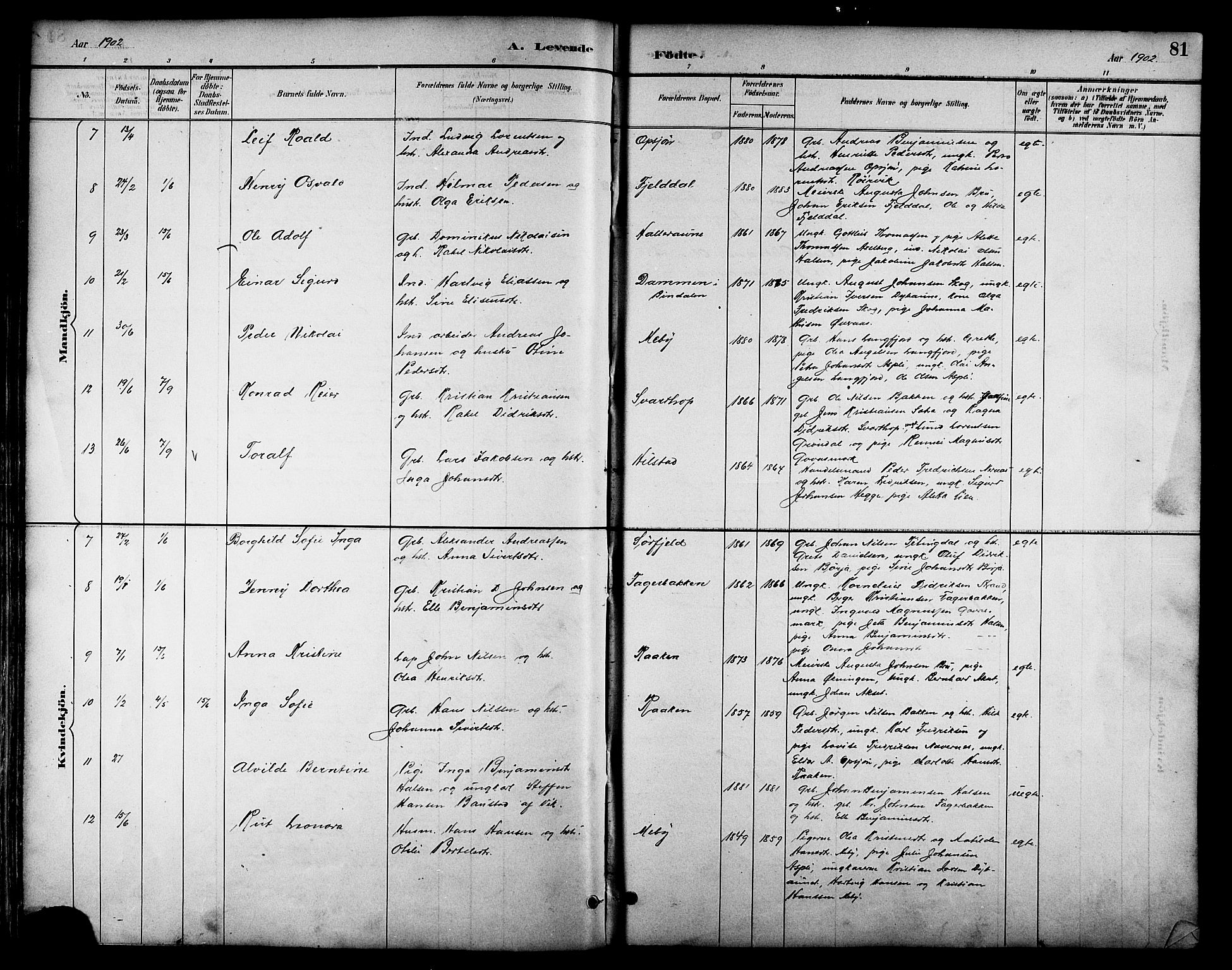 Ministerialprotokoller, klokkerbøker og fødselsregistre - Nordland, AV/SAT-A-1459/814/L0230: Parish register (copy) no. 814C03, 1884-1911, p. 81