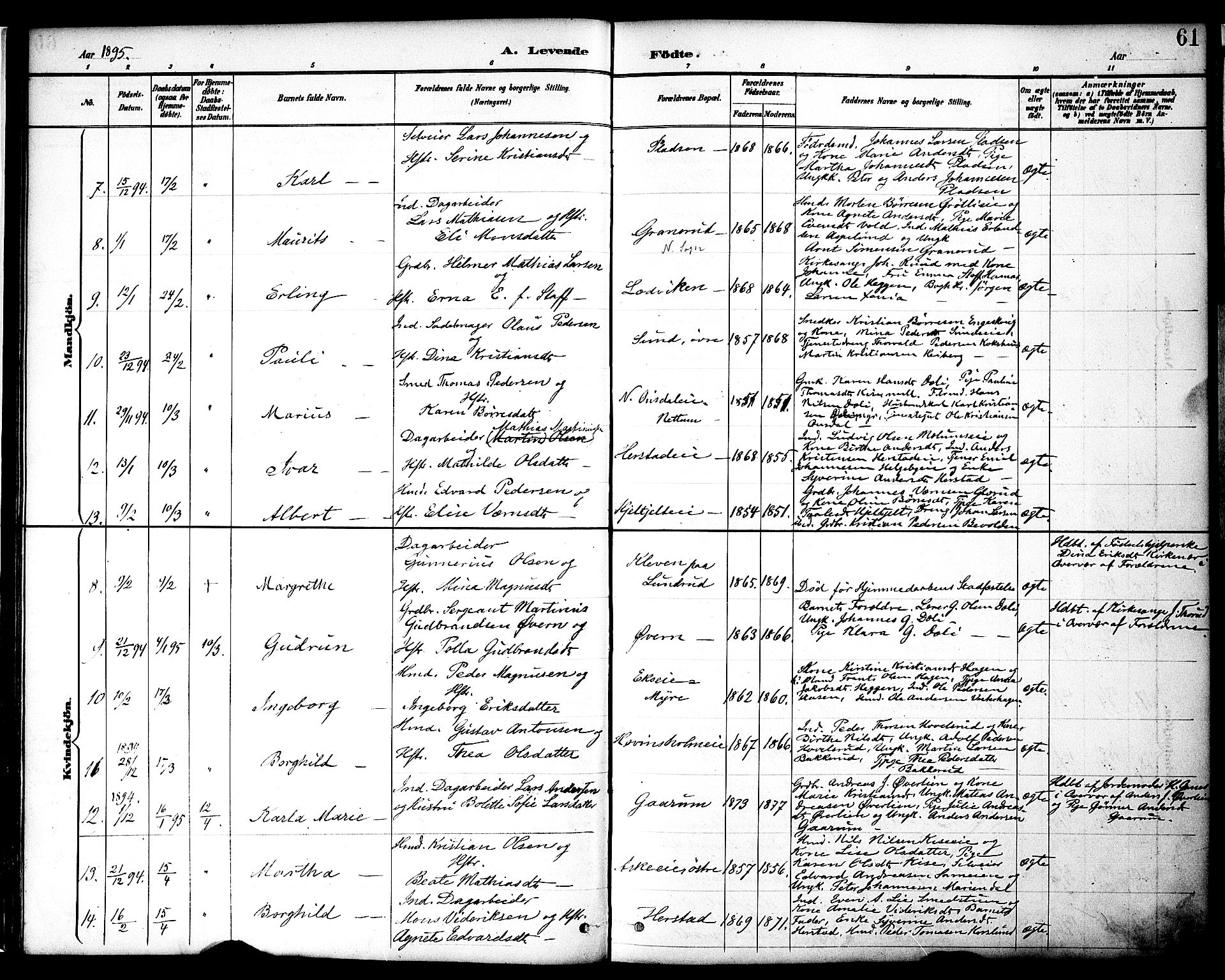 Nes prestekontor, Hedmark, AV/SAH-PREST-020/K/Ka/L0009: Parish register (official) no. 9, 1887-1905, p. 61