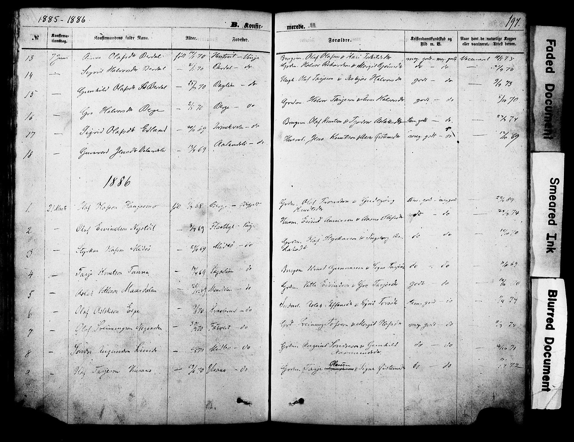 Vinje kirkebøker, SAKO/A-312/F/Fa/L0005: Parish register (official) no. I 5, 1870-1886, p. 197
