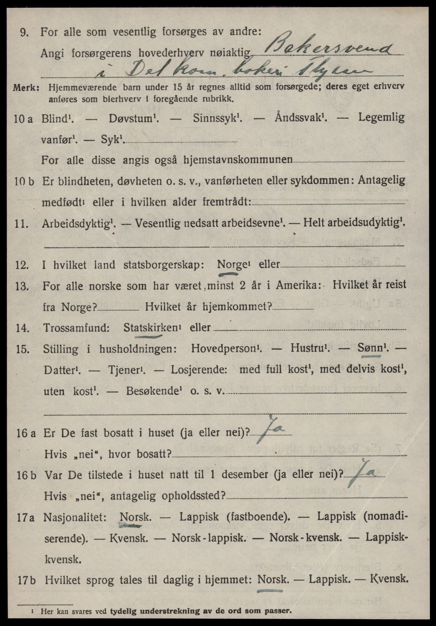 SAT, 1920 census for Strinda, 1920, p. 17569