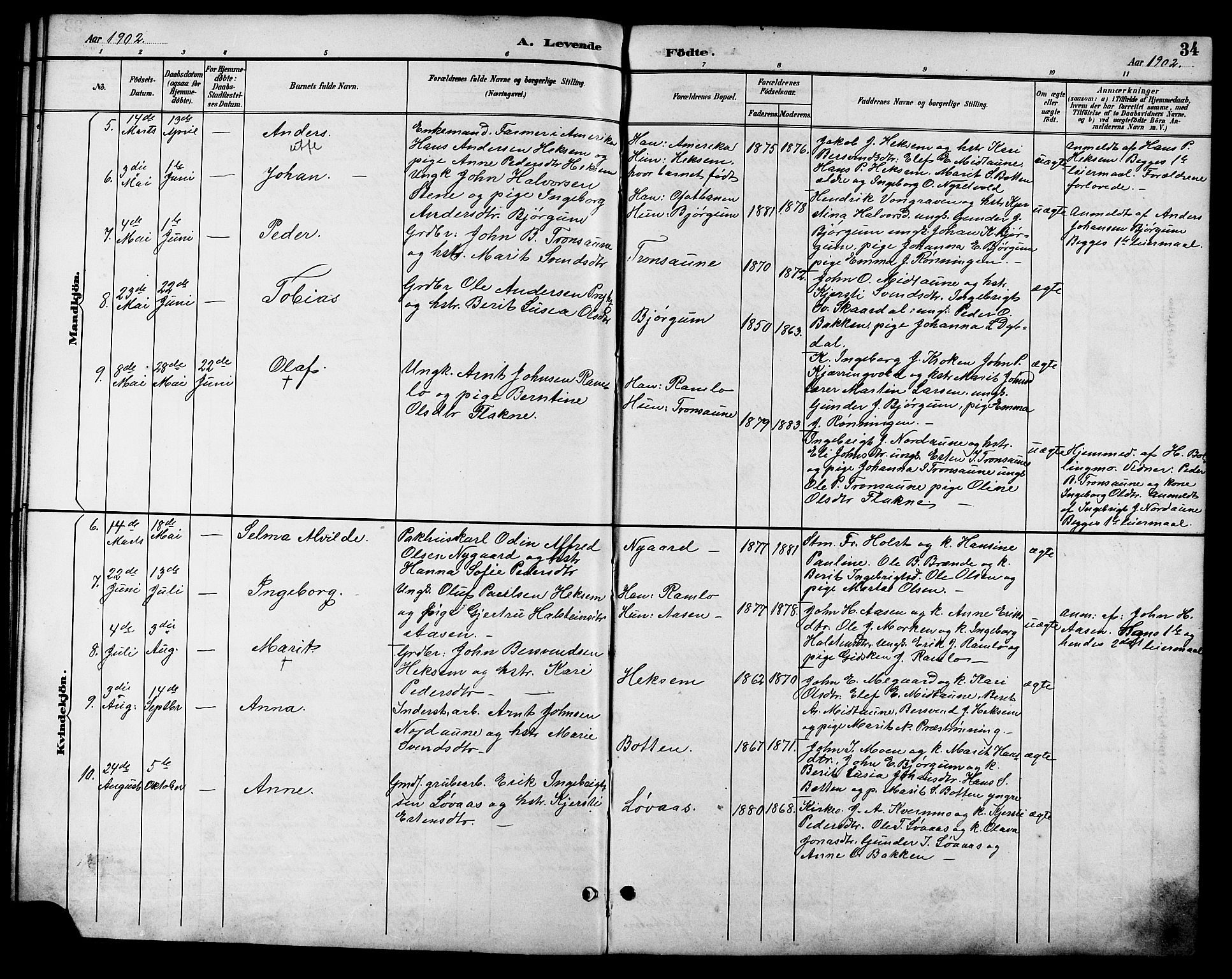 Ministerialprotokoller, klokkerbøker og fødselsregistre - Sør-Trøndelag, SAT/A-1456/685/L0978: Parish register (copy) no. 685C03, 1891-1907, p. 34