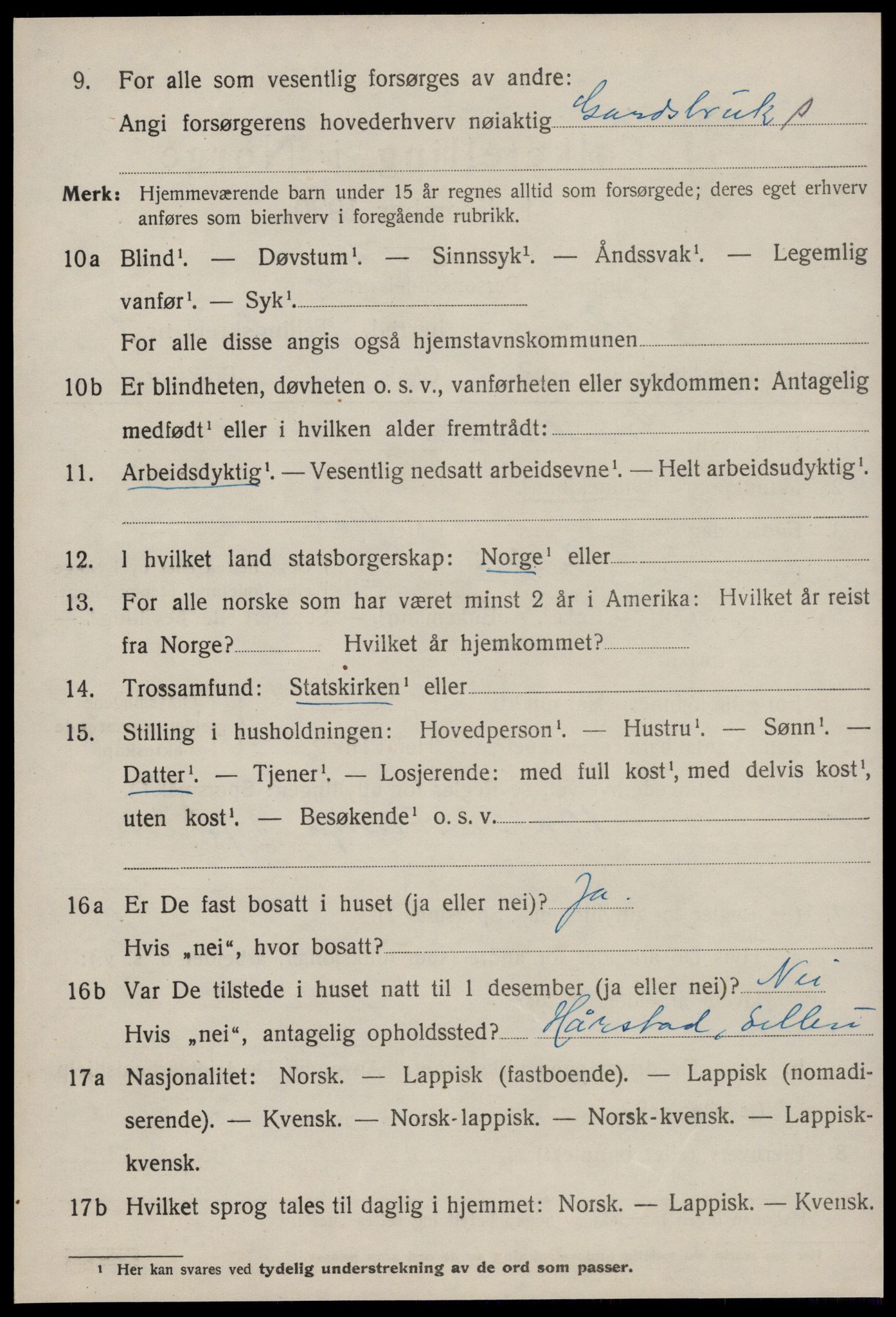 SAT, 1920 census for Selbu, 1920, p. 6175