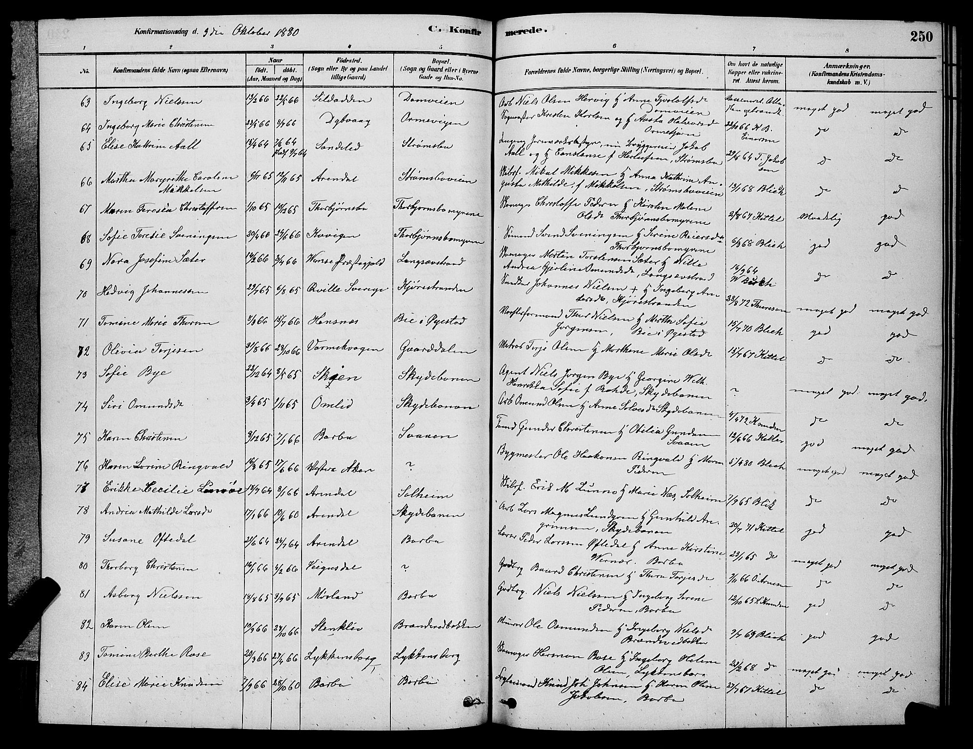 Barbu sokneprestkontor, AV/SAK-1111-0003/F/Fb/L0001: Parish register (copy) no. B 1, 1878-1890, p. 250