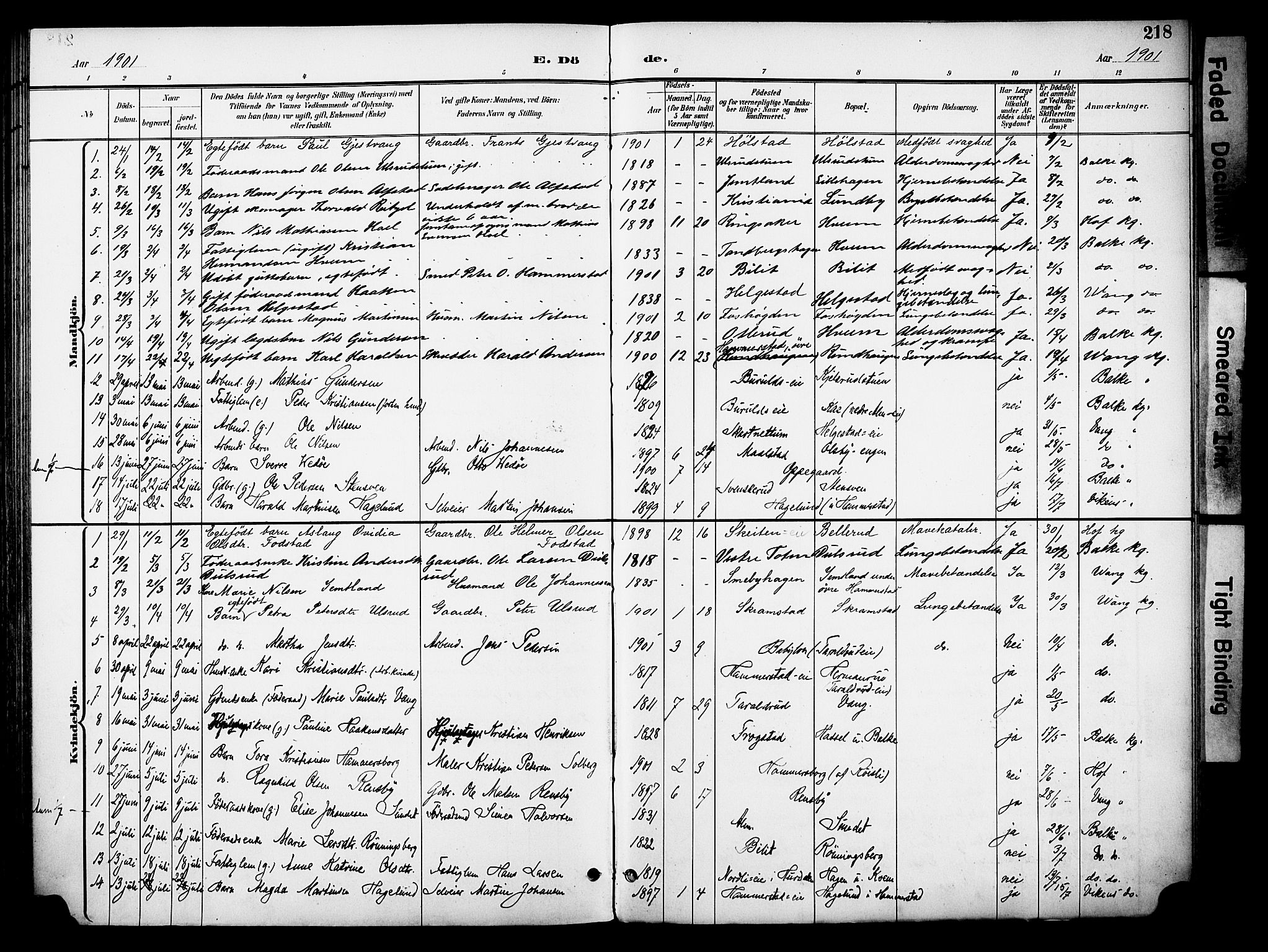 Østre Toten prestekontor, AV/SAH-PREST-104/H/Ha/Haa/L0009: Parish register (official) no. 9, 1897-1913, p. 218