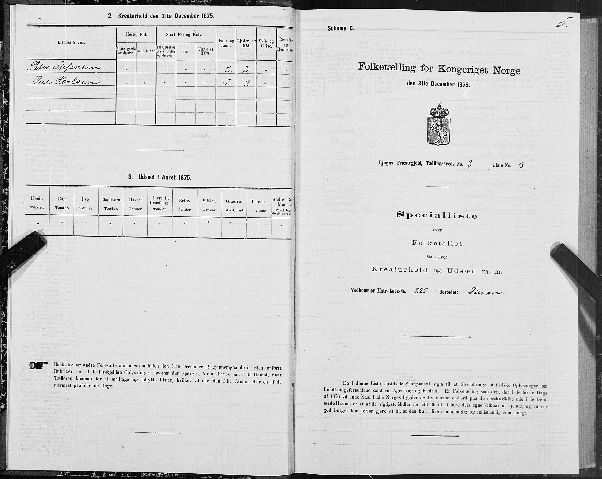 SAT, 1875 census for 1627P Bjugn, 1875, p. 2005