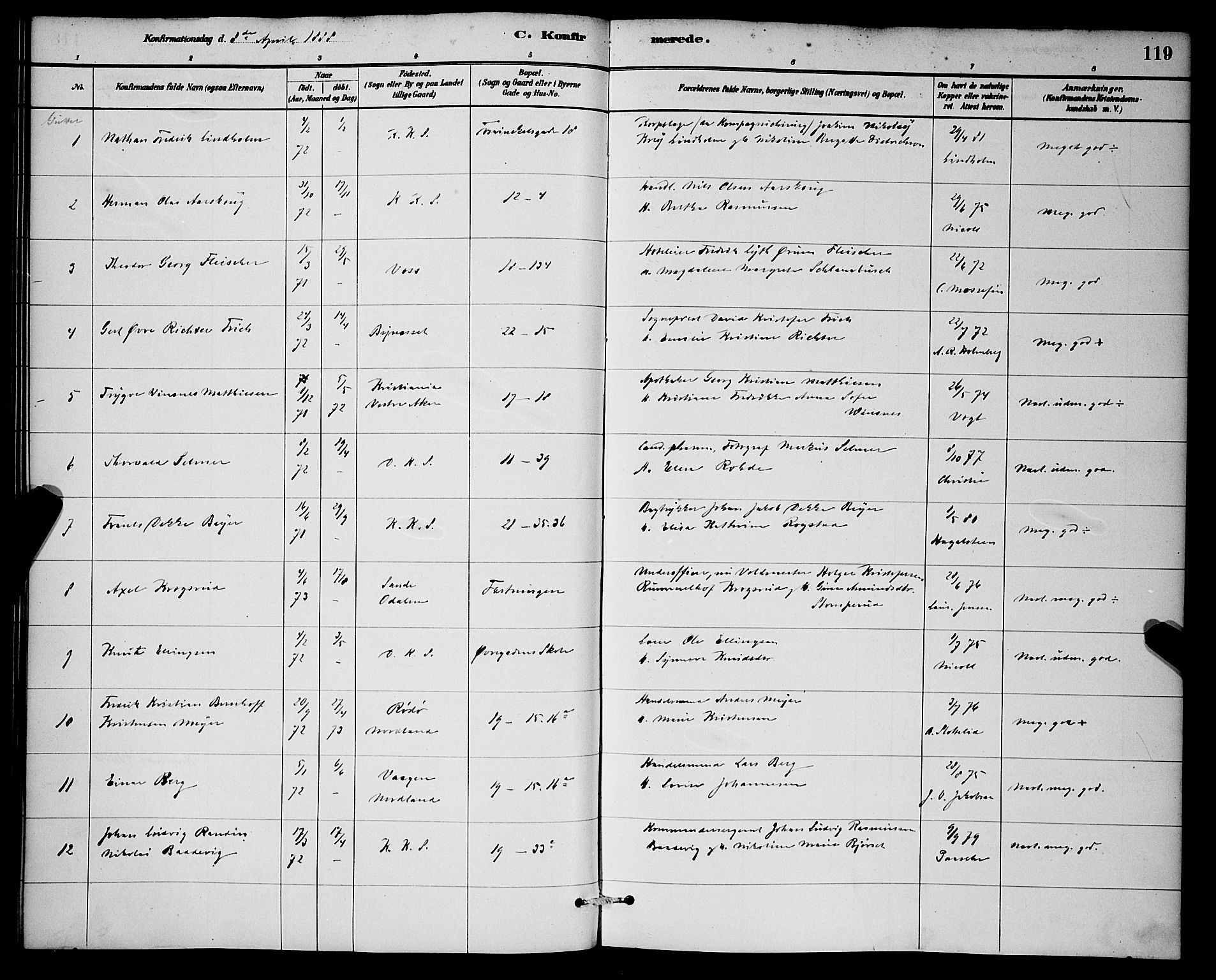 Korskirken sokneprestembete, SAB/A-76101/H/Hab: Parish register (copy) no. C 3, 1880-1892, p. 119
