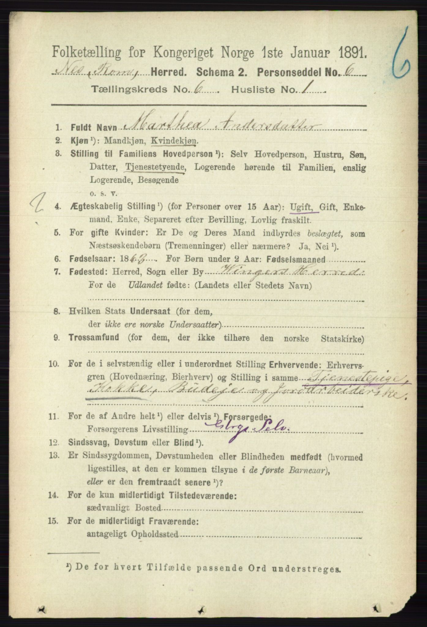 RA, 1891 census for 0236 Nes, 1891, p. 3399