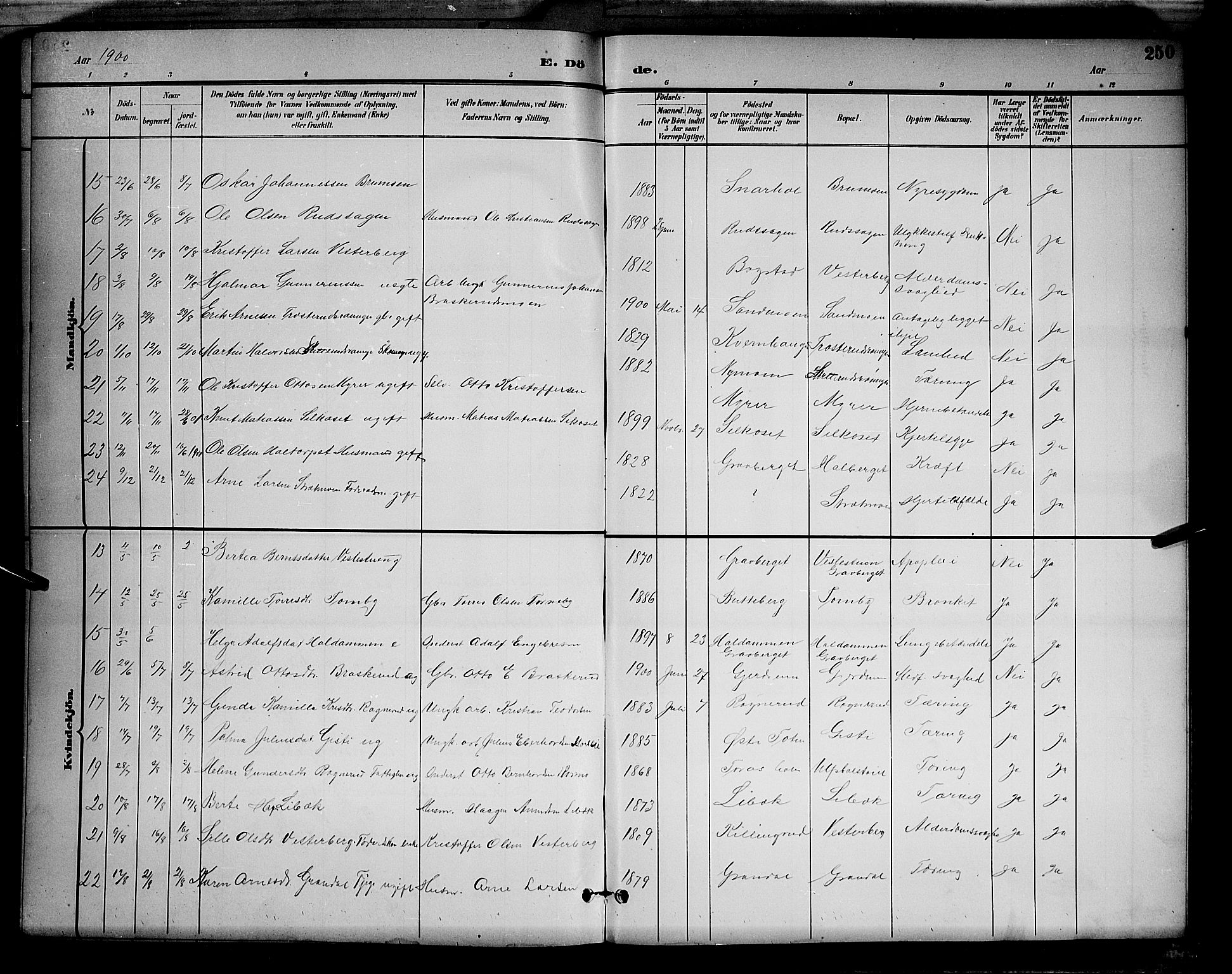 Våler prestekontor, Hedmark, AV/SAH-PREST-040/H/Ha/Hab/L0001: Parish register (copy) no. 1, 1894-1904, p. 250