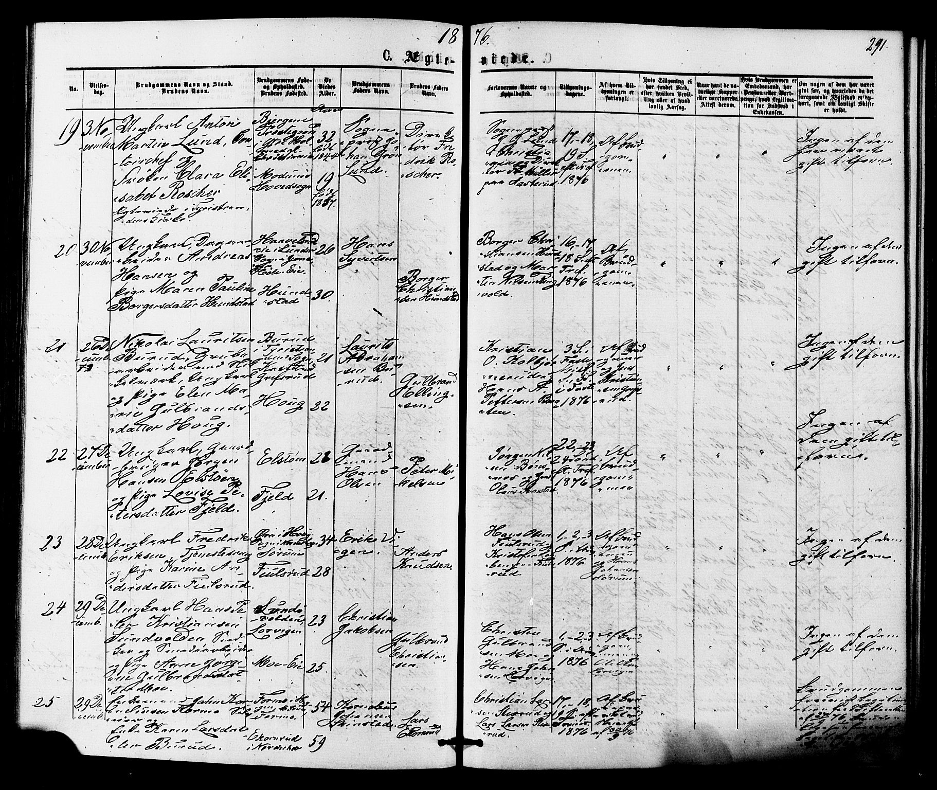 Hole kirkebøker, SAKO/A-228/F/Fa/L0007: Parish register (official) no. I 7, 1873-1877, p. 291